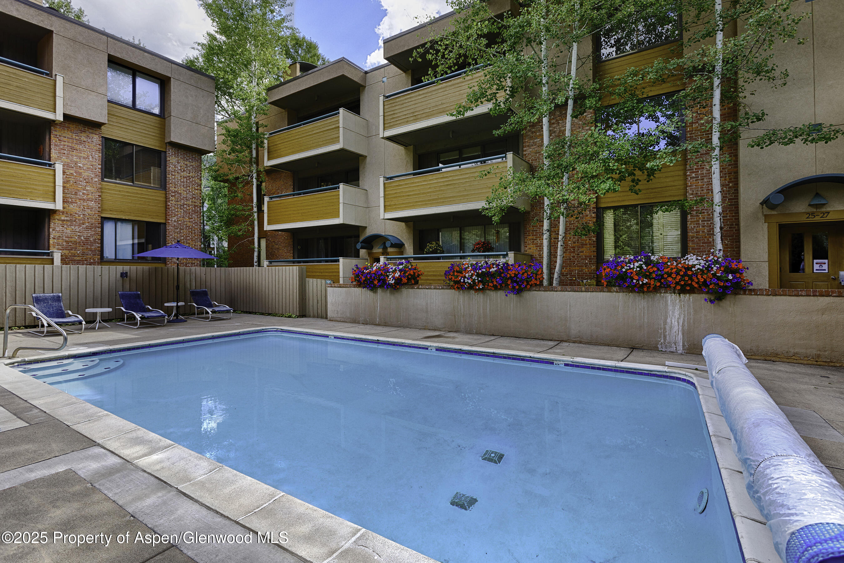1020 E Hopkins Avenue Aspen CO 81611