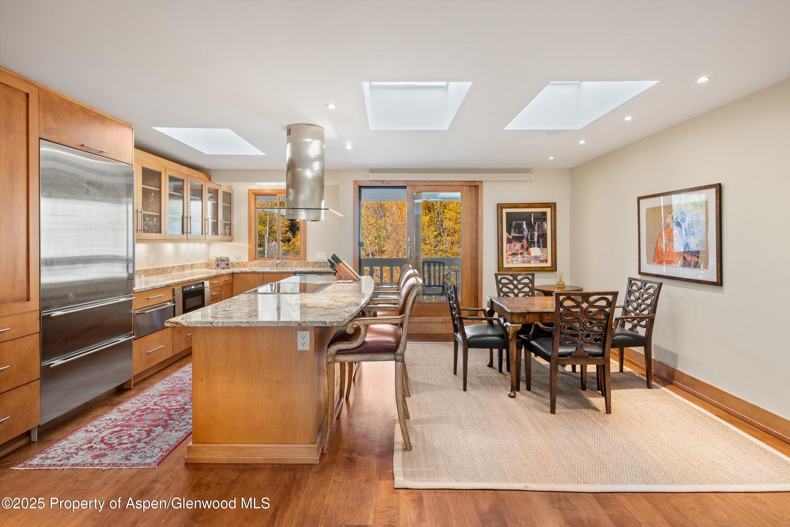 1020 E Hopkins Avenue Aspen CO 81611