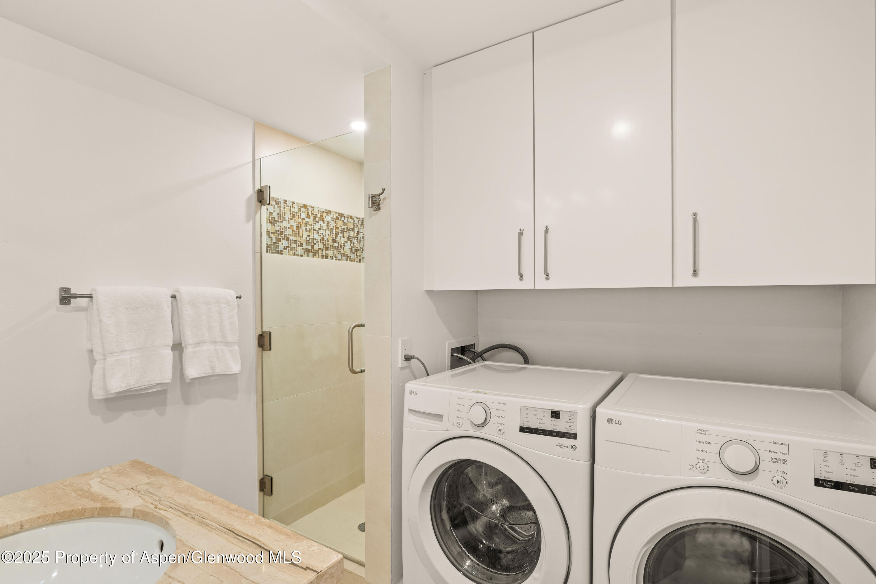 814 W Bleeker Street Aspen CO 81611