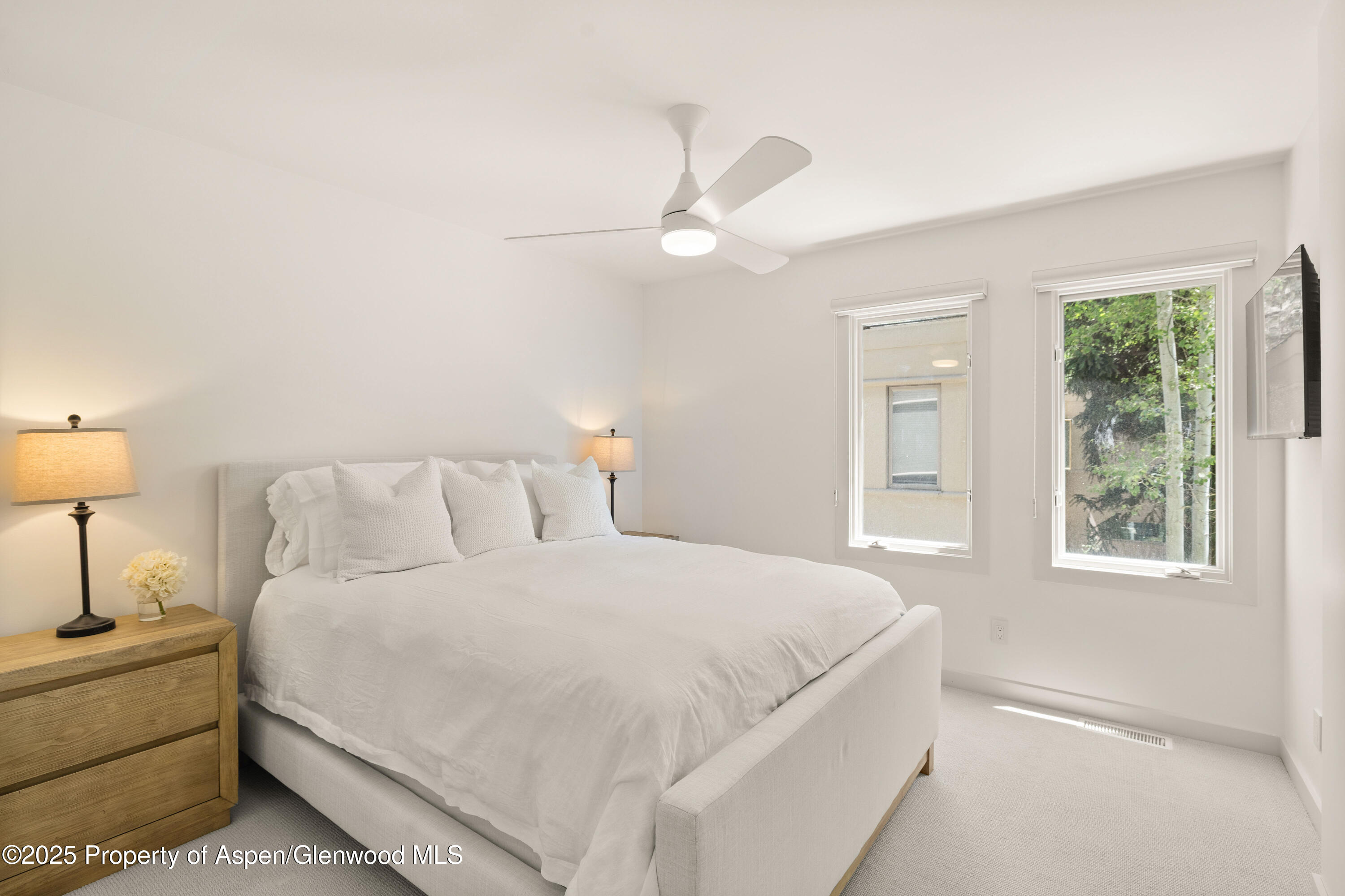 814 W Bleeker Street Aspen CO 81611