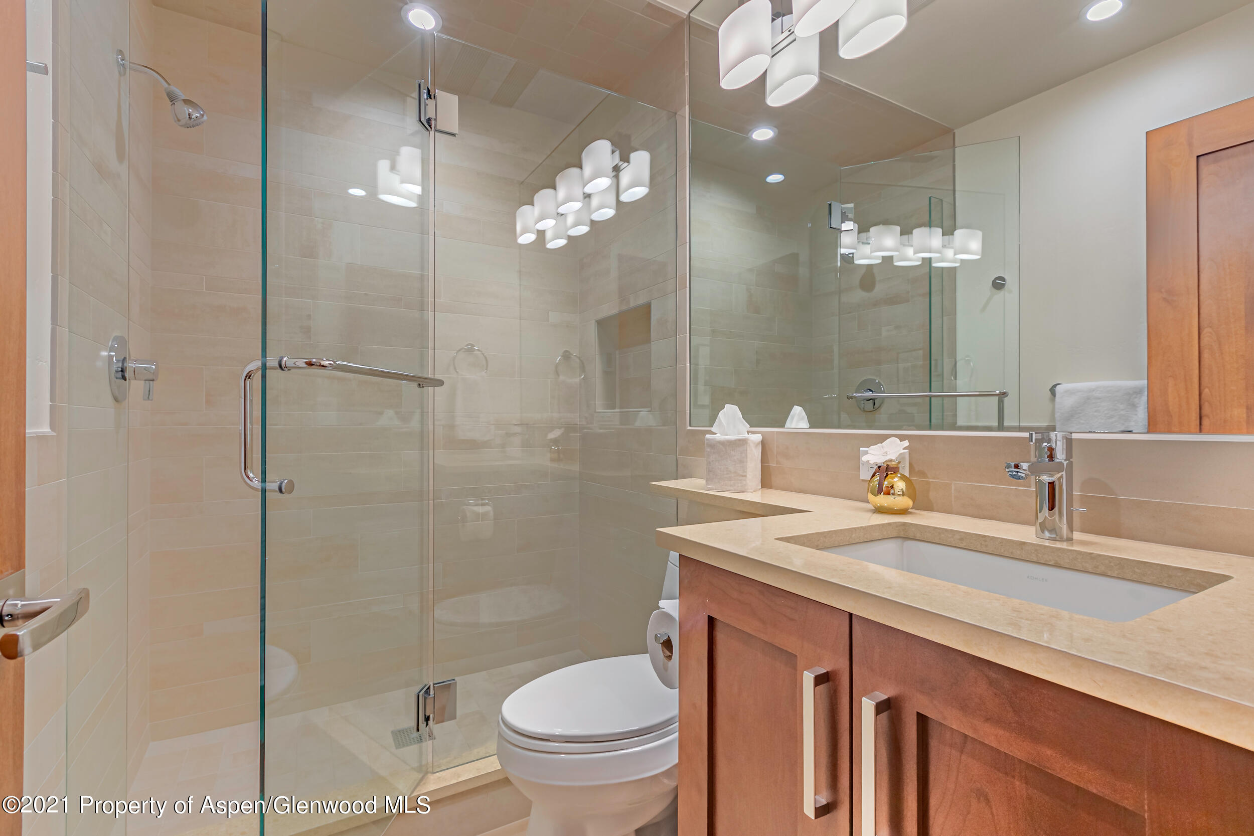 851 Ute Avenue Aspen CO 81611