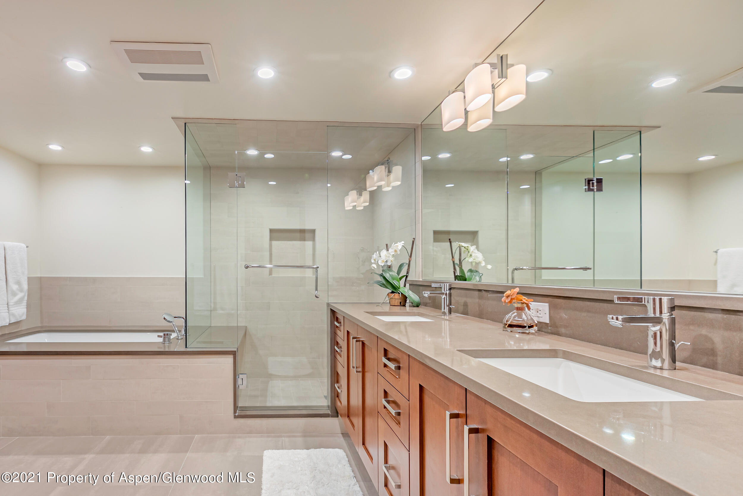 851 Ute Avenue Aspen CO 81611