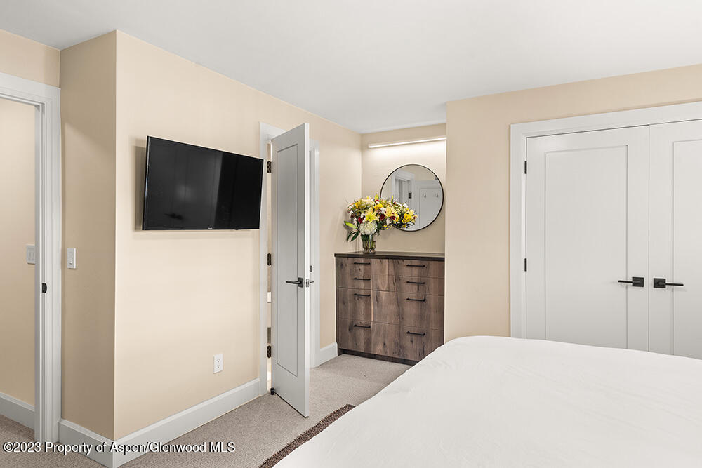 631 S Galena Street Aspen CO 81611