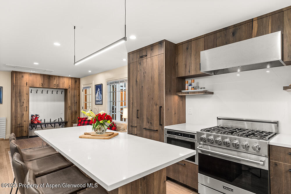 631 S Galena Street Aspen CO 81611