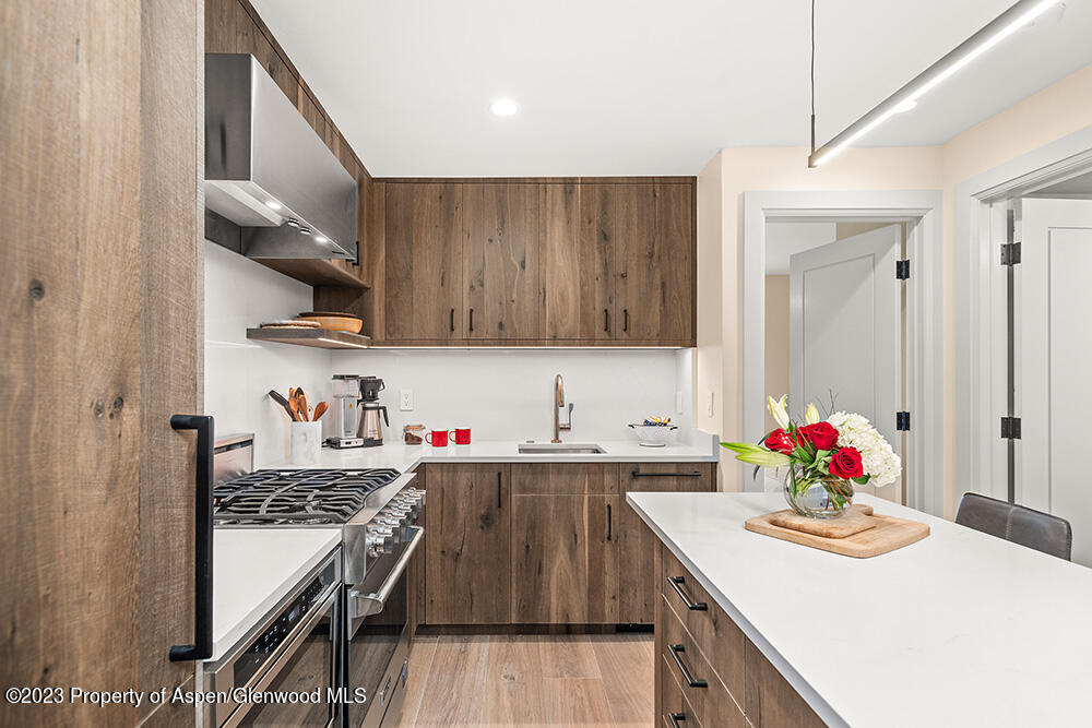 631 S Galena Street Aspen CO 81611