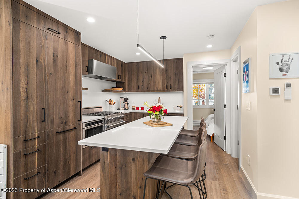 631 S Galena Street Aspen CO 81611