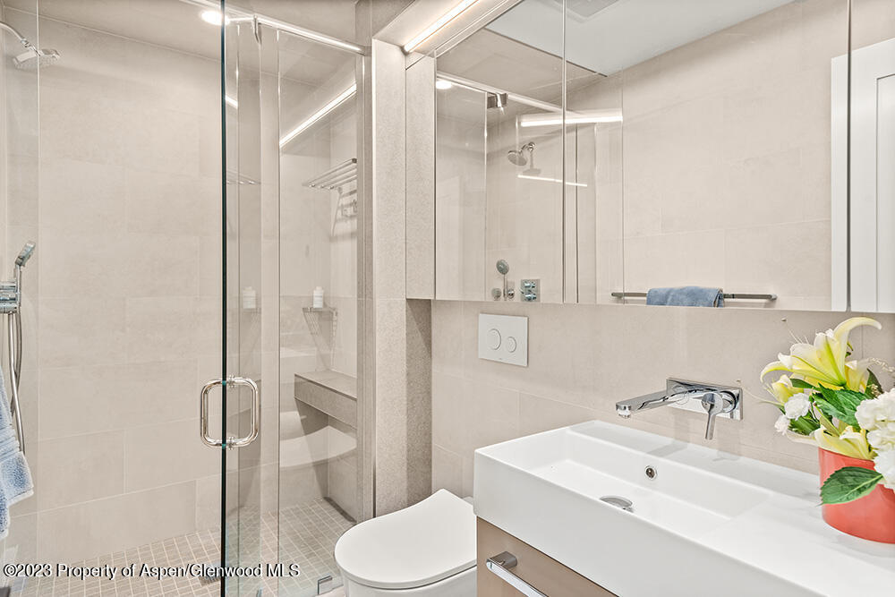 631 S Galena Street Aspen CO 81611