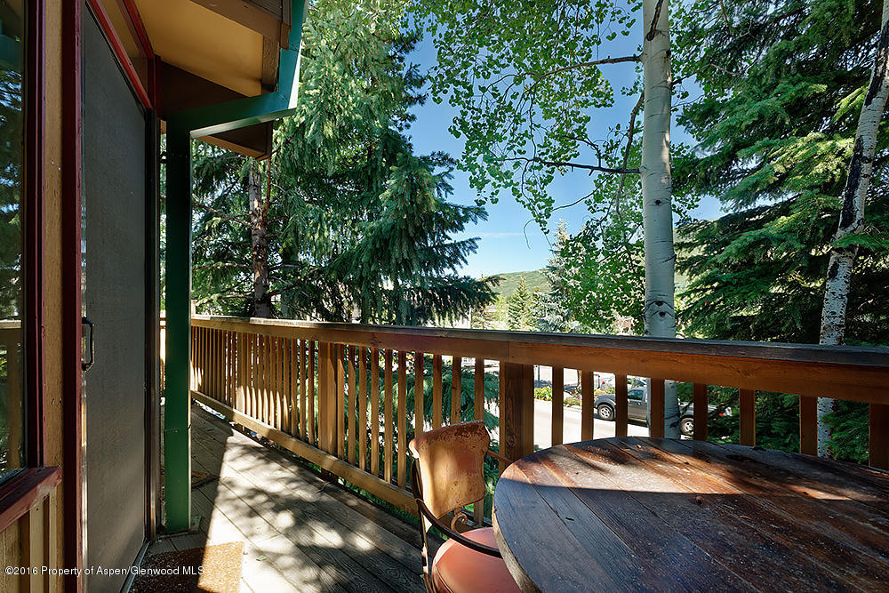 803 E Durant Avenue Aspen CO 81611