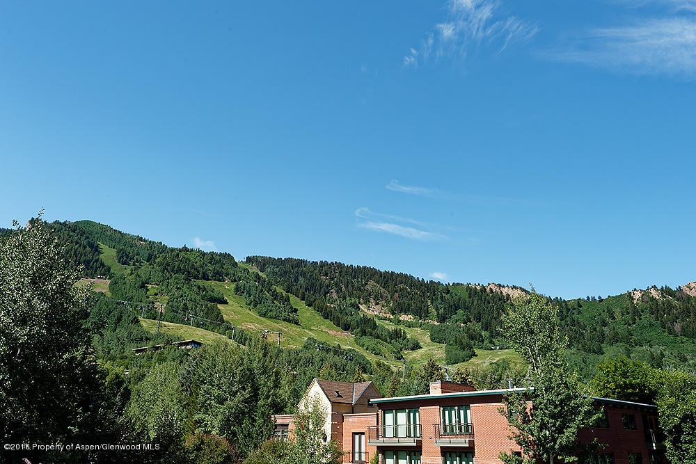 803 E Durant Avenue Aspen CO 81611