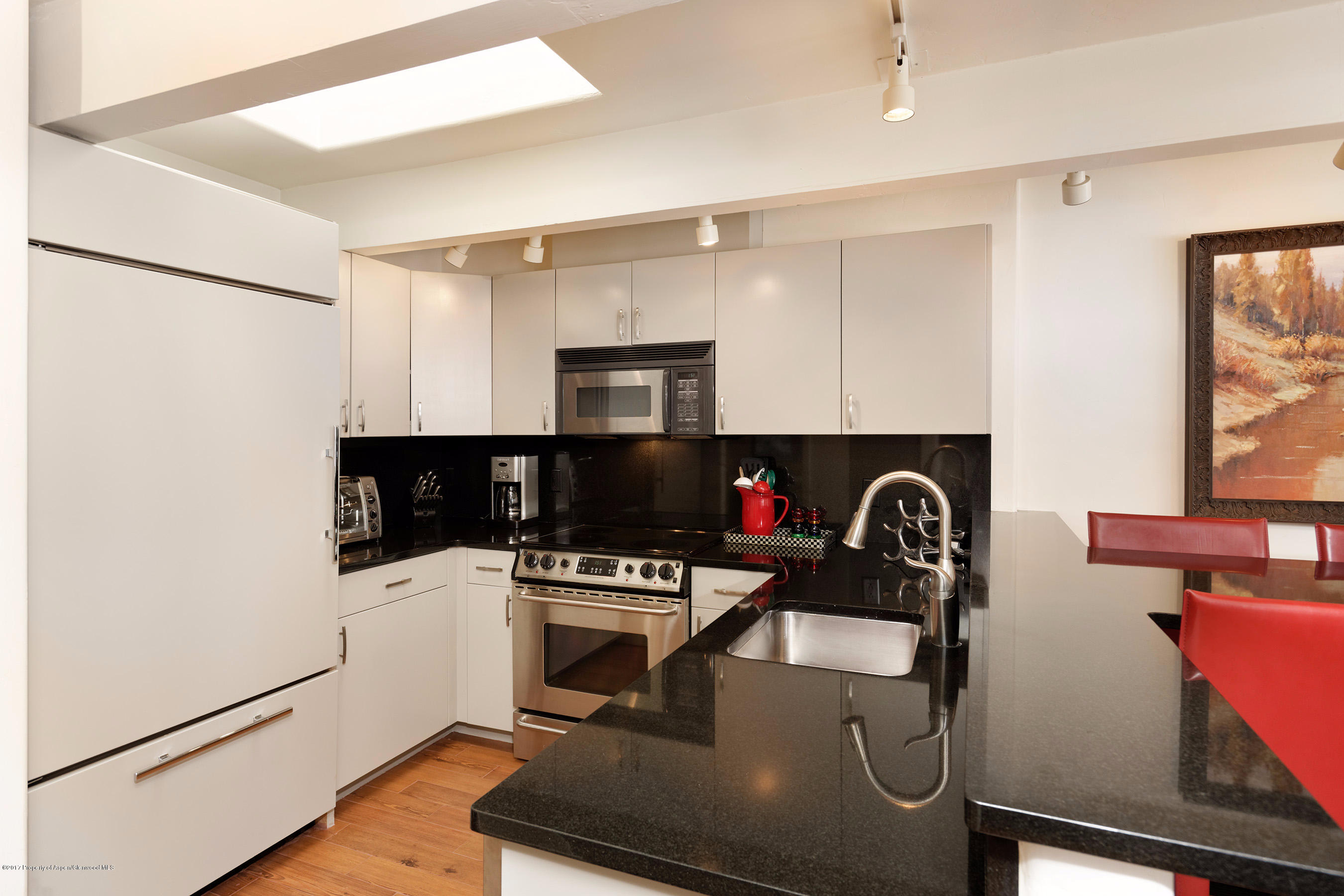 803 E Durant Avenue Aspen CO 81611
