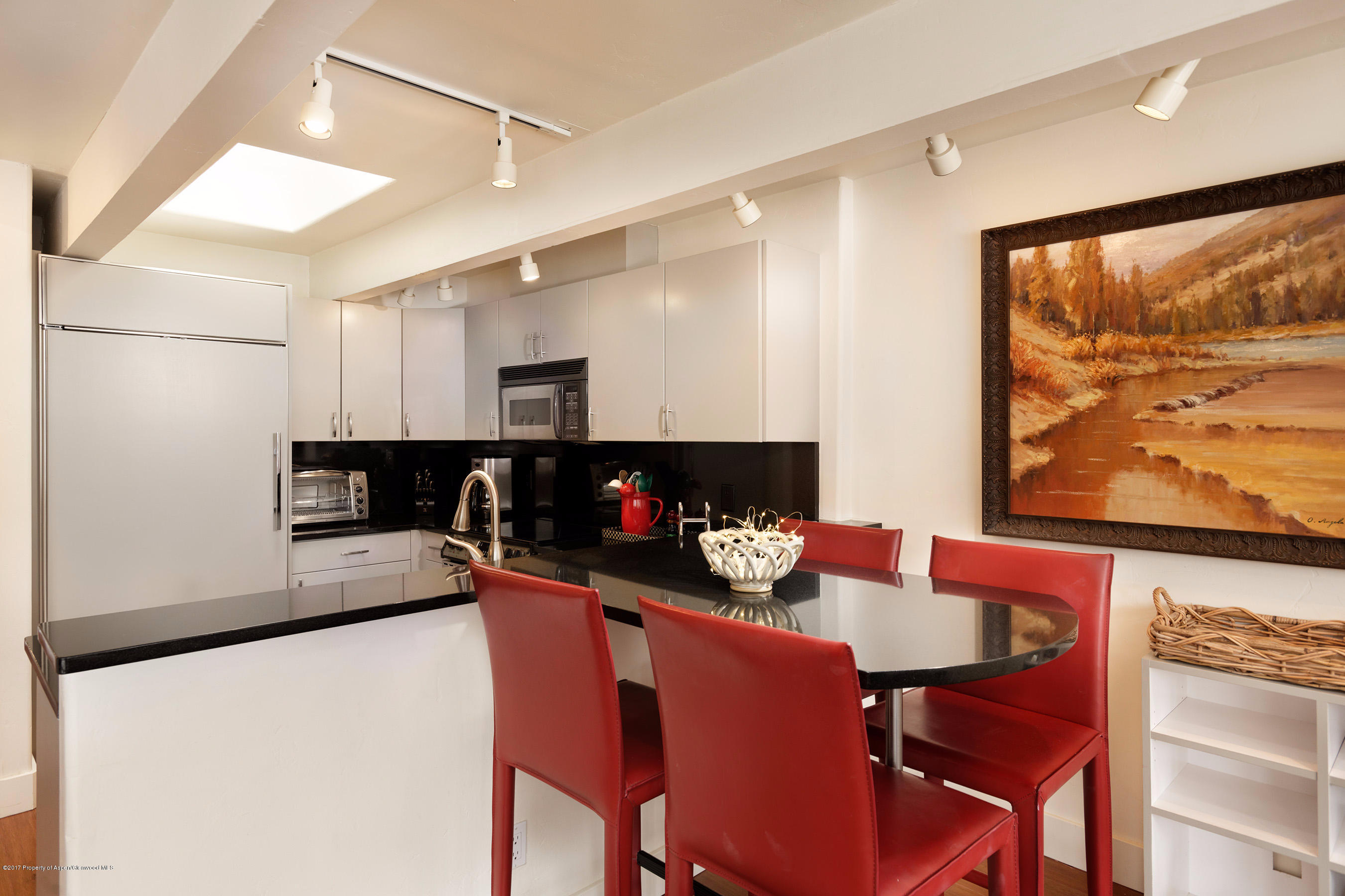 803 E Durant Avenue Aspen CO 81611