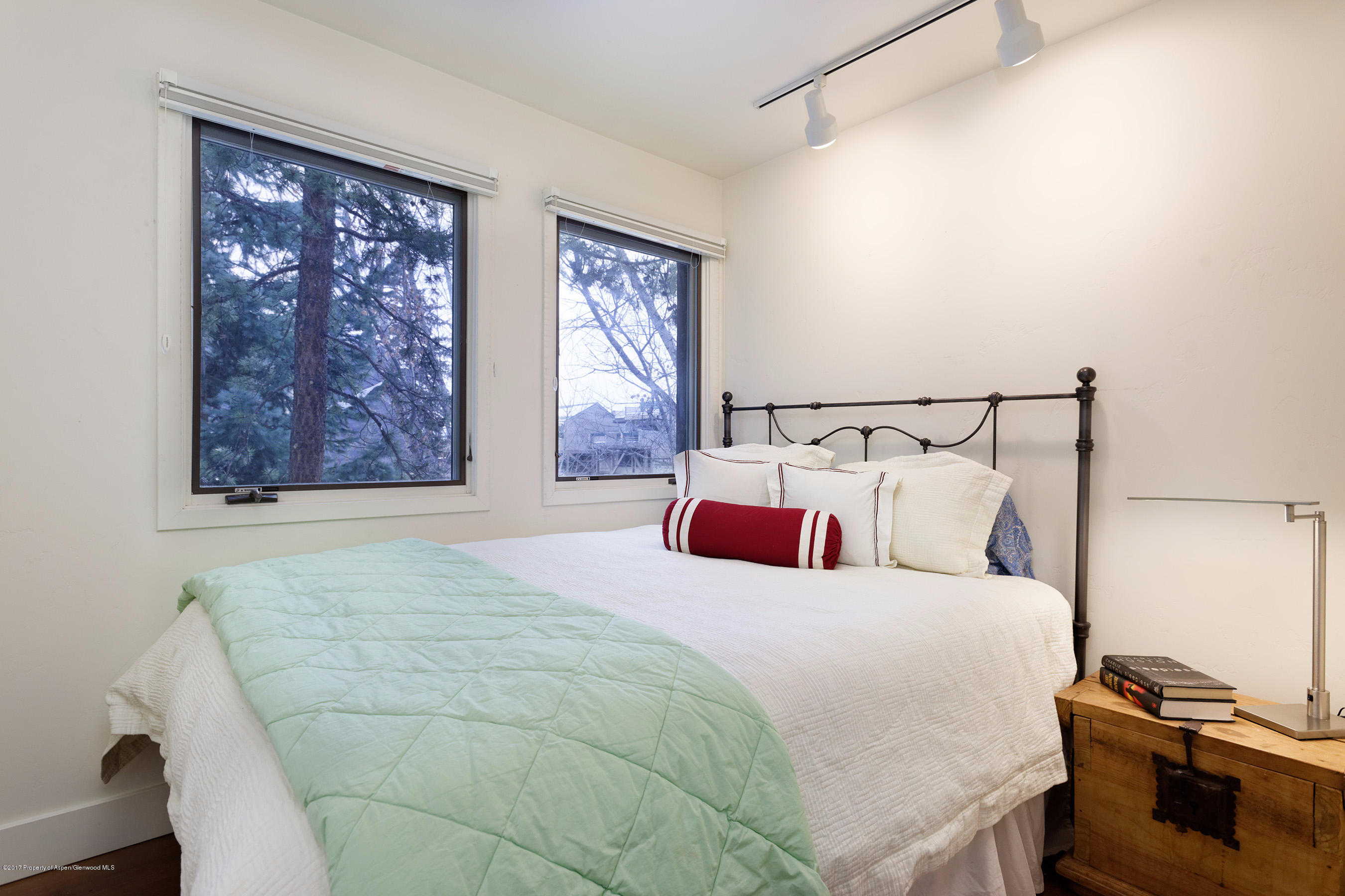 803 E Durant Avenue Aspen CO 81611