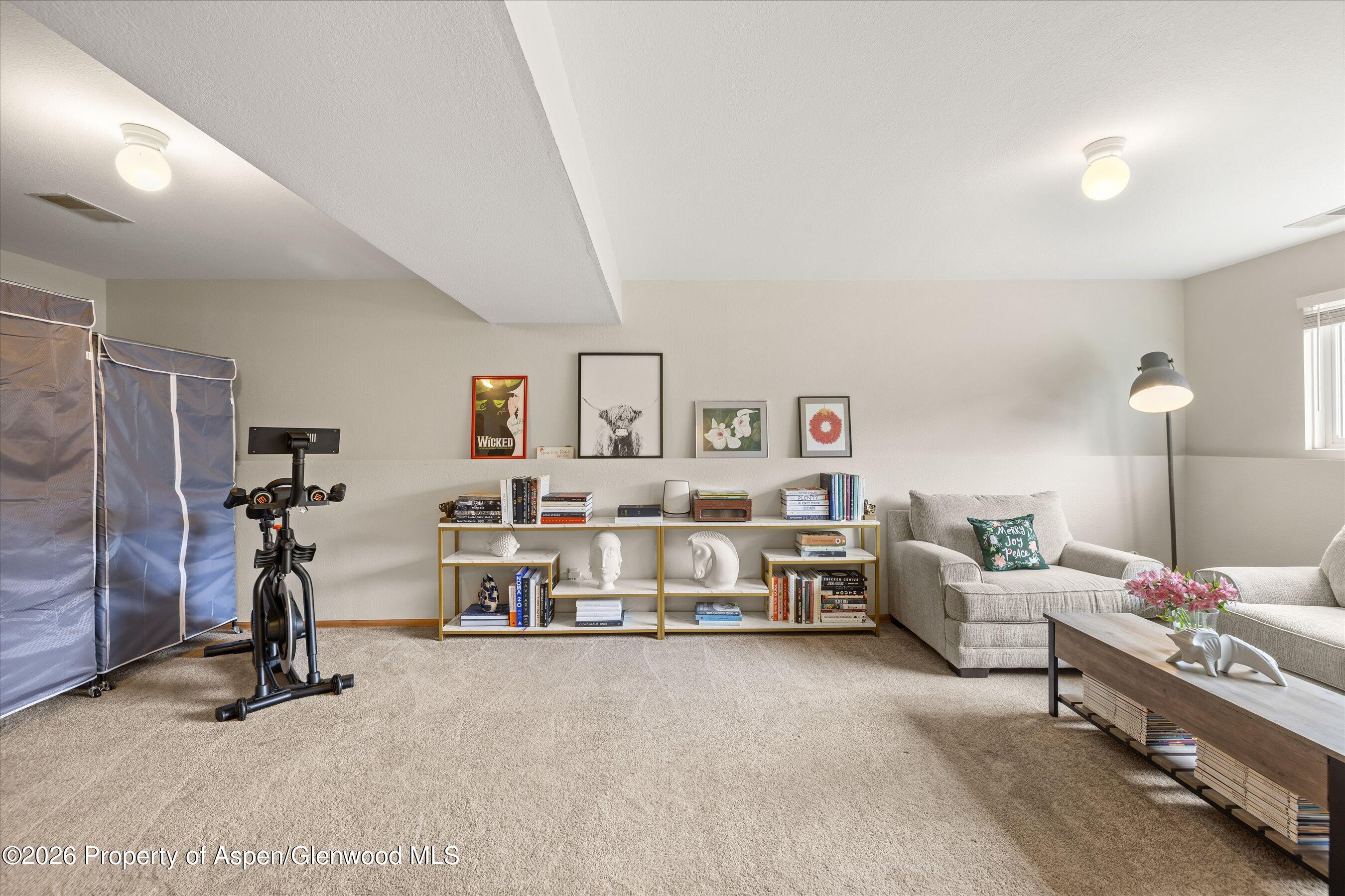 382 Summit Drive Carbondale CO 81623