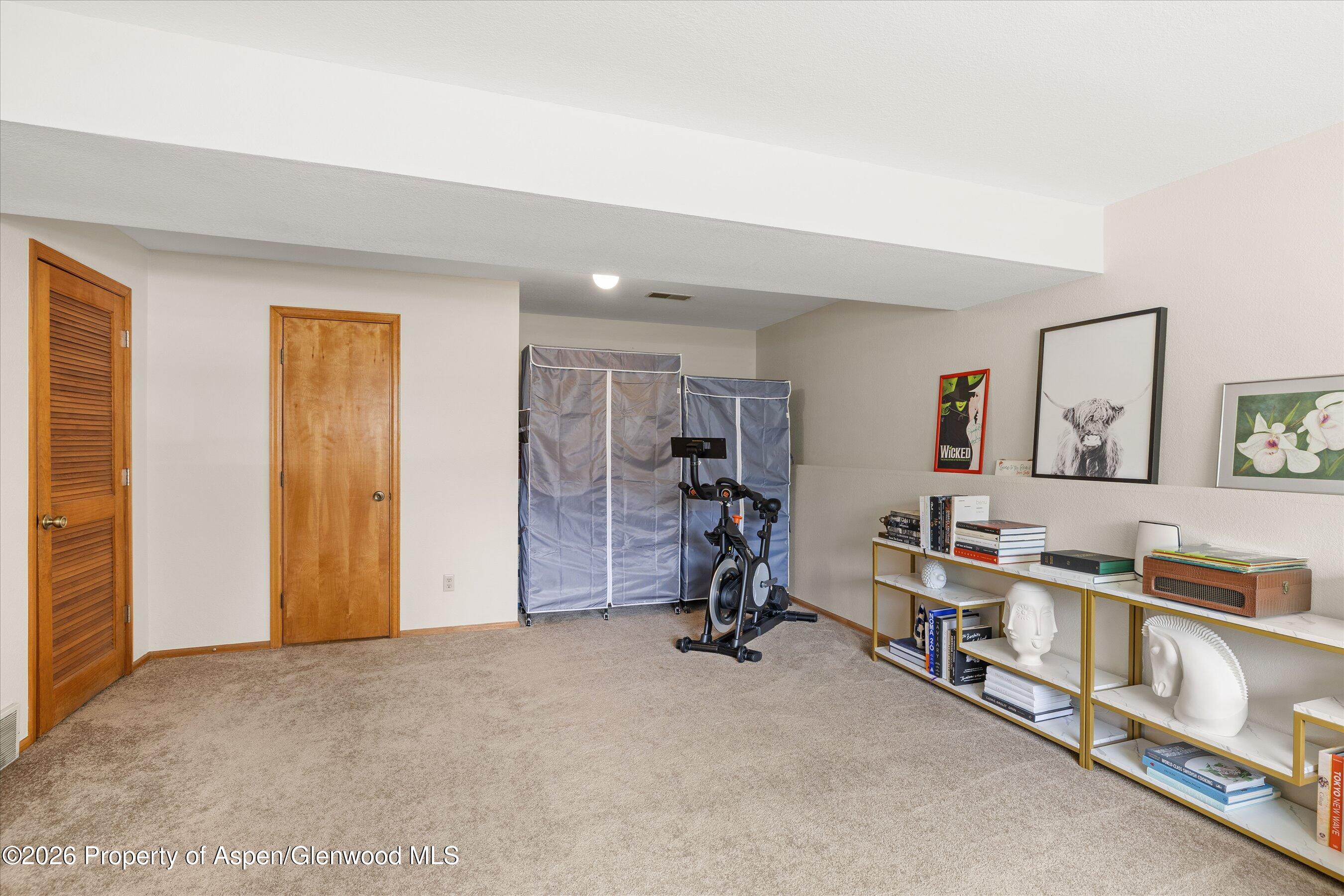 382 Summit Drive Carbondale CO 81623