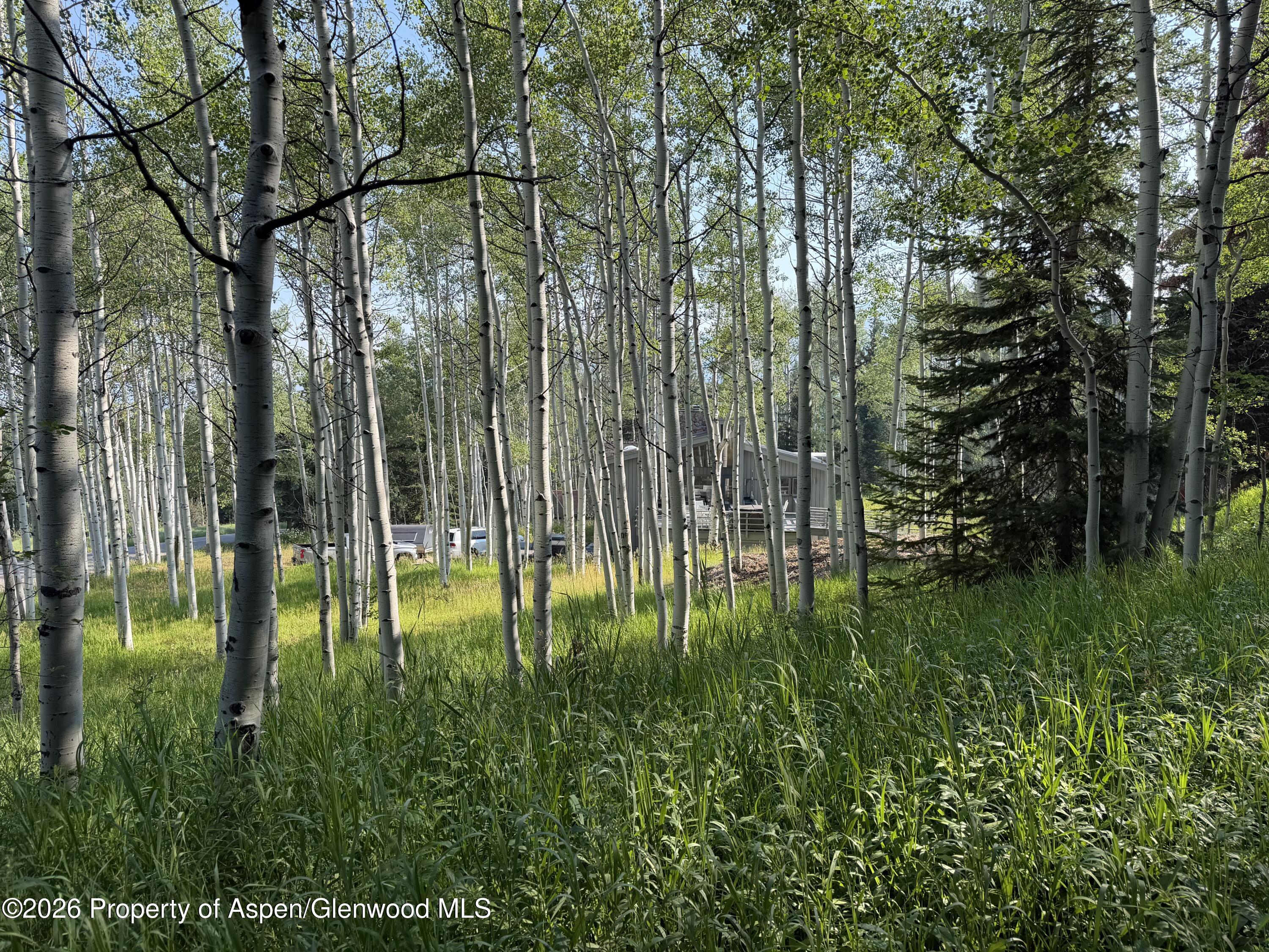Aspen CO 81611