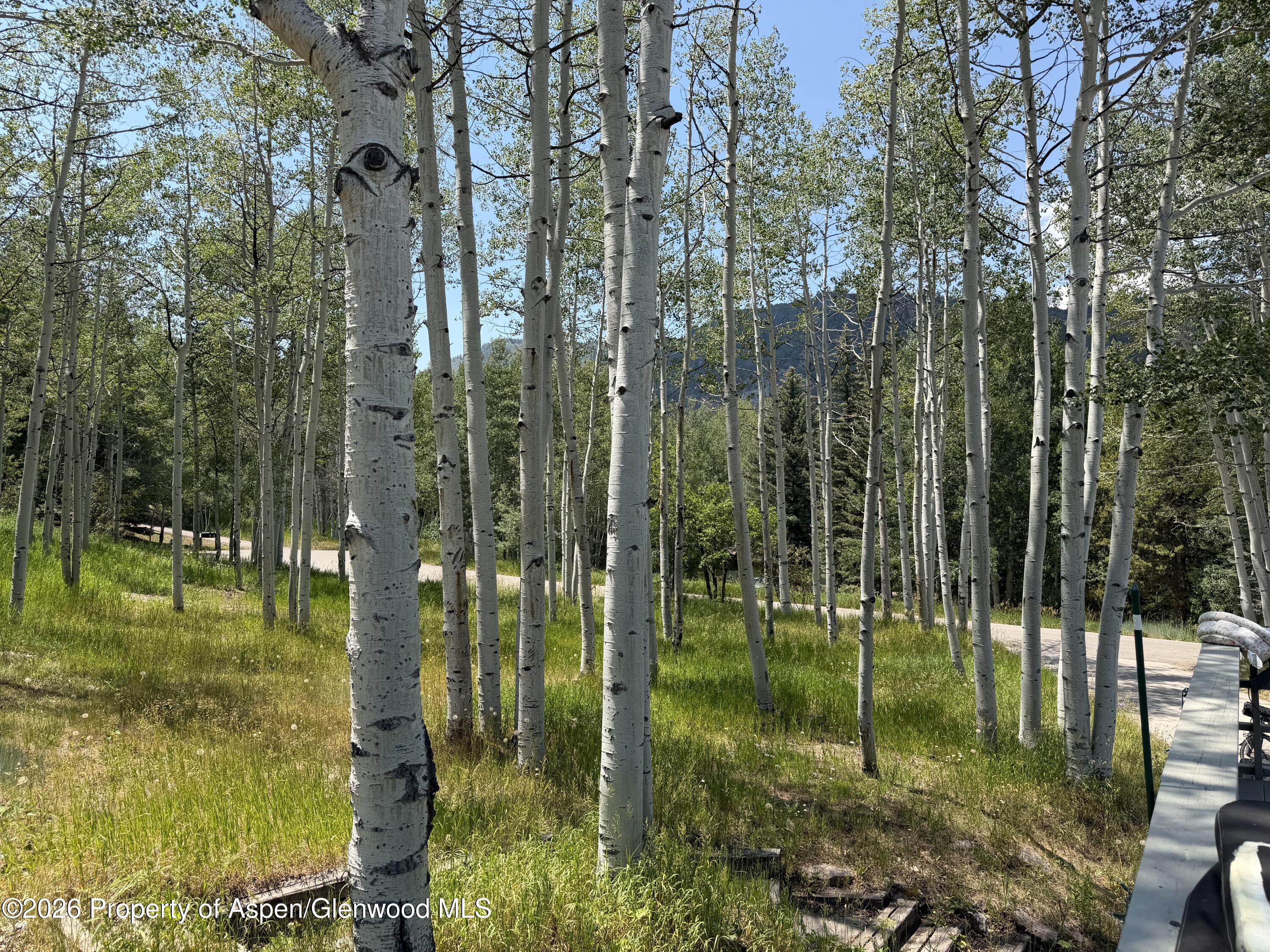 Aspen CO 81611