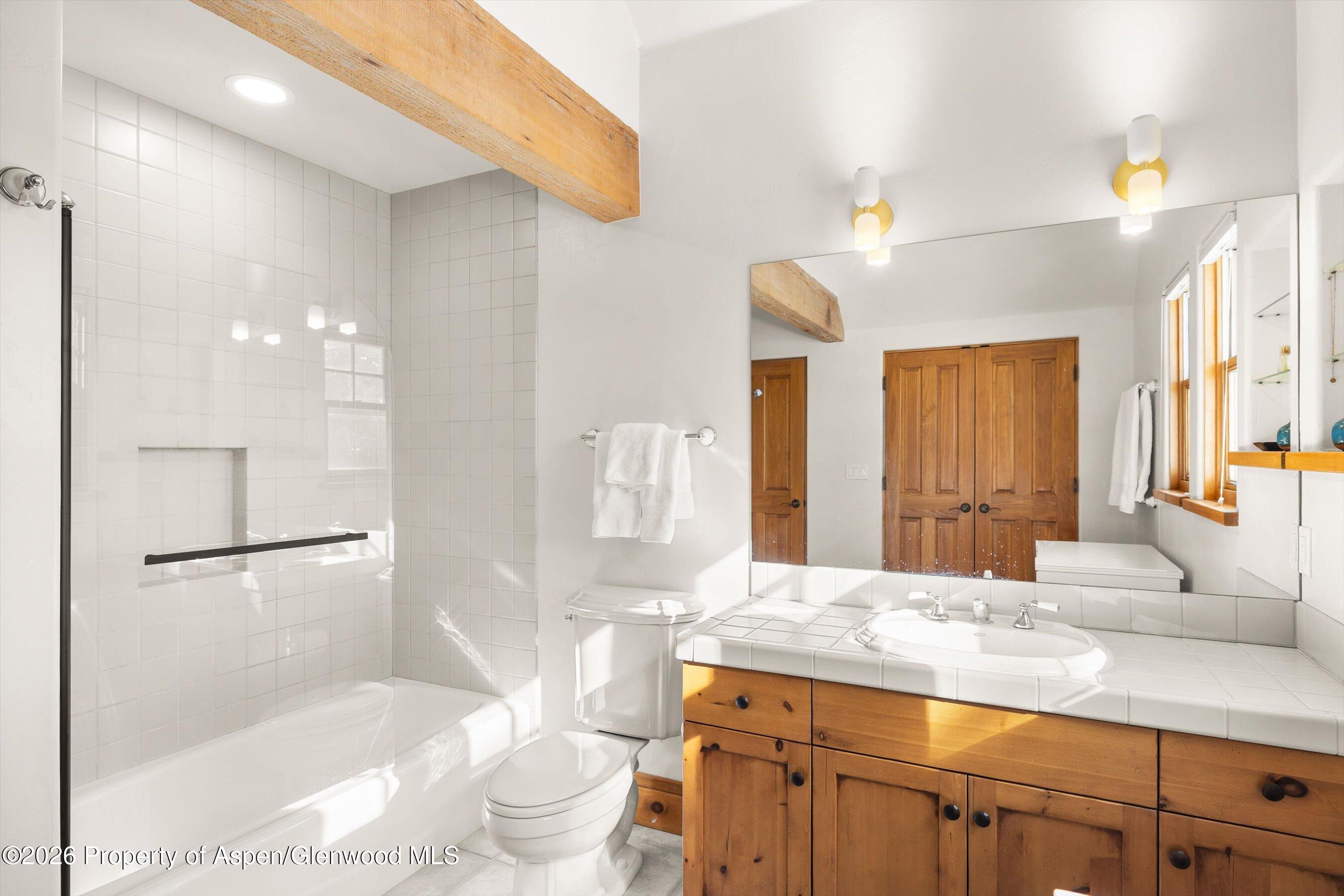 31 Wind River Road Carbondale CO 81623