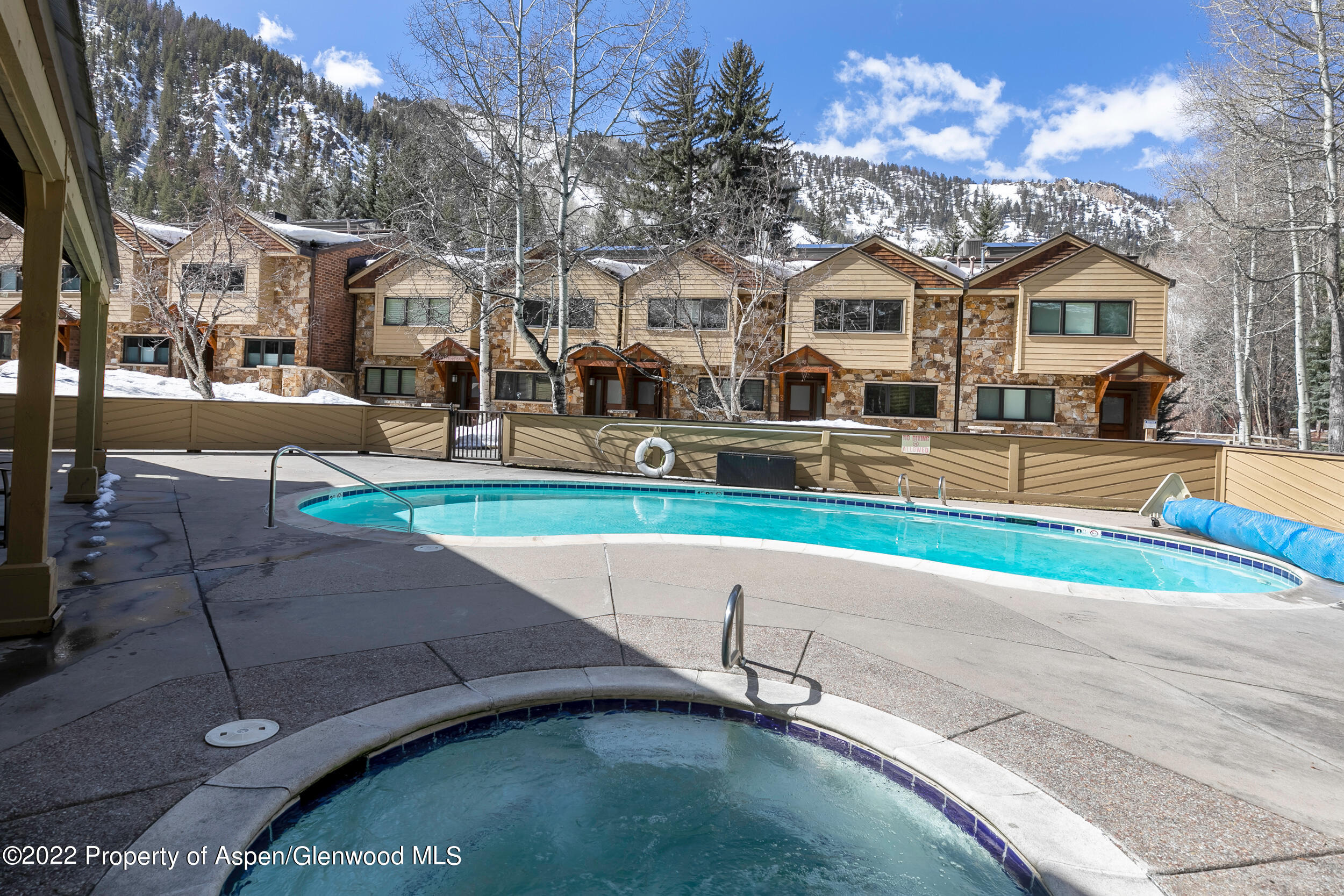 625 S West End Street Aspen CO 81611