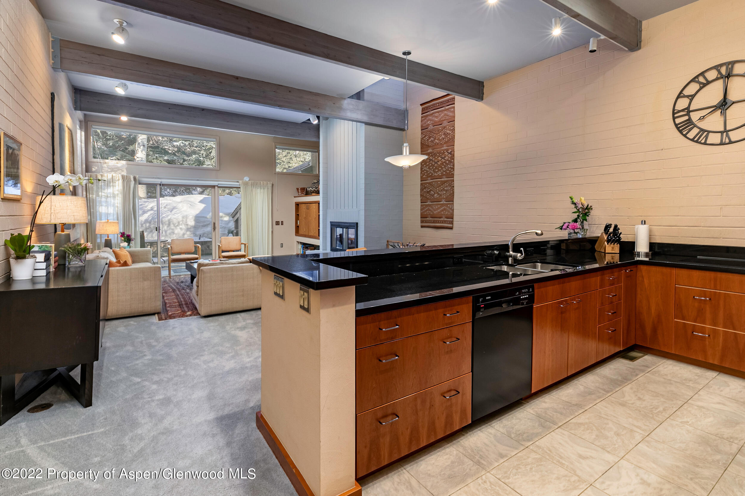 625 S West End Street Aspen CO 81611