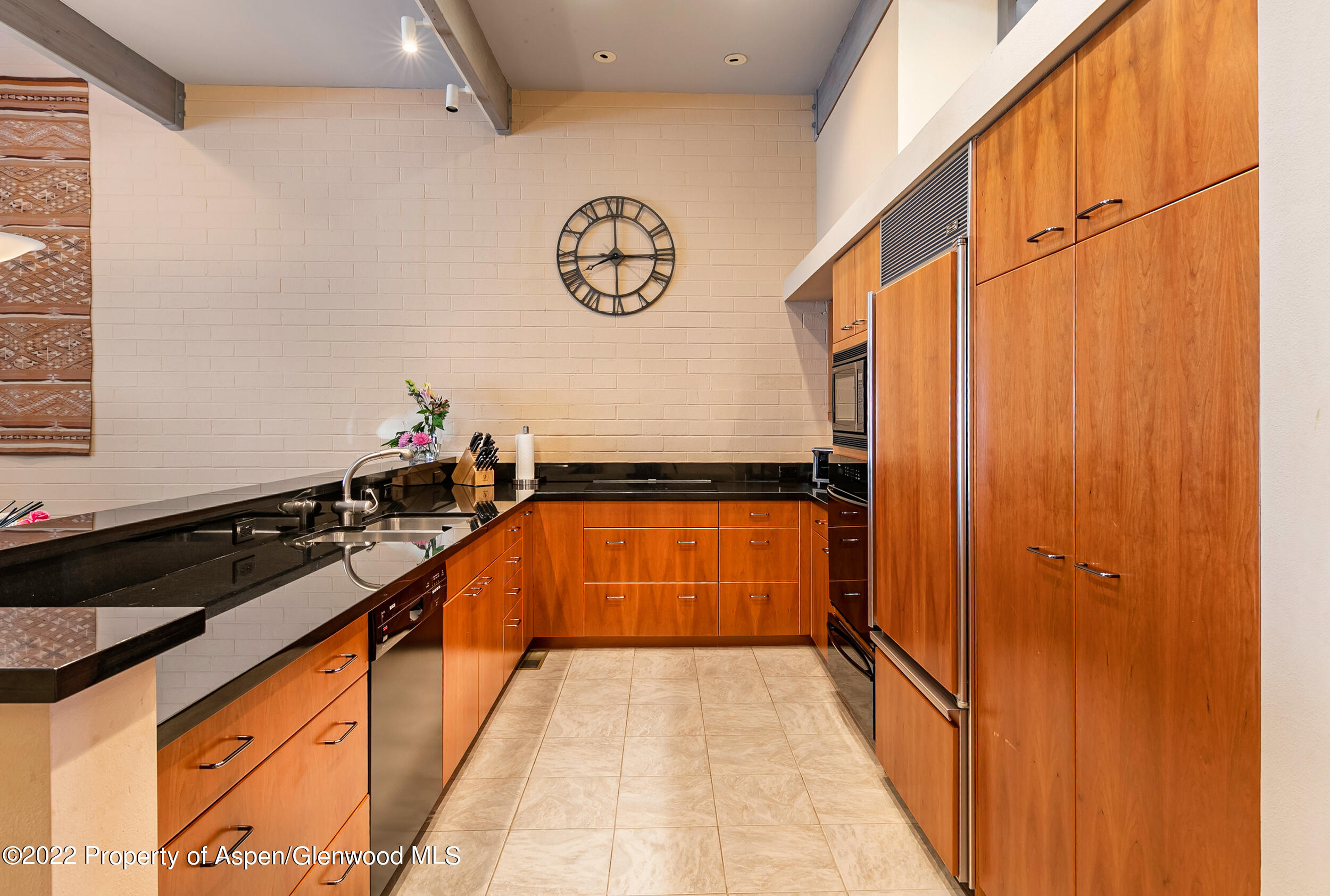 625 S West End Street Aspen CO 81611