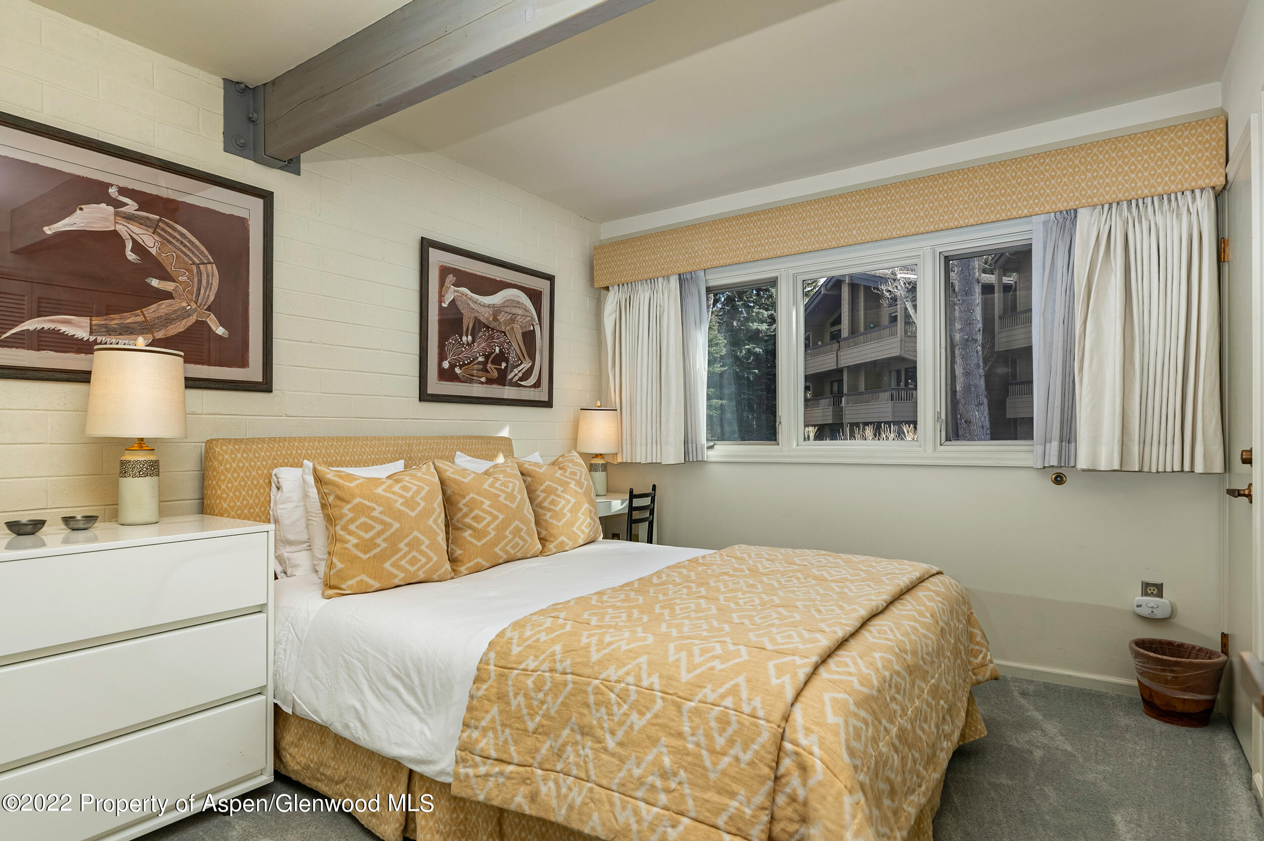 625 S West End Street Aspen CO 81611