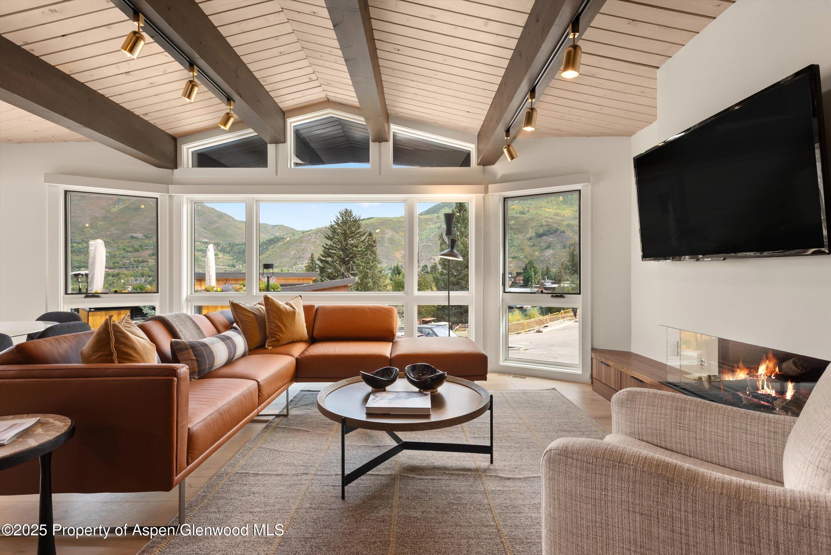 809 S Aspen Street Aspen CO 81611