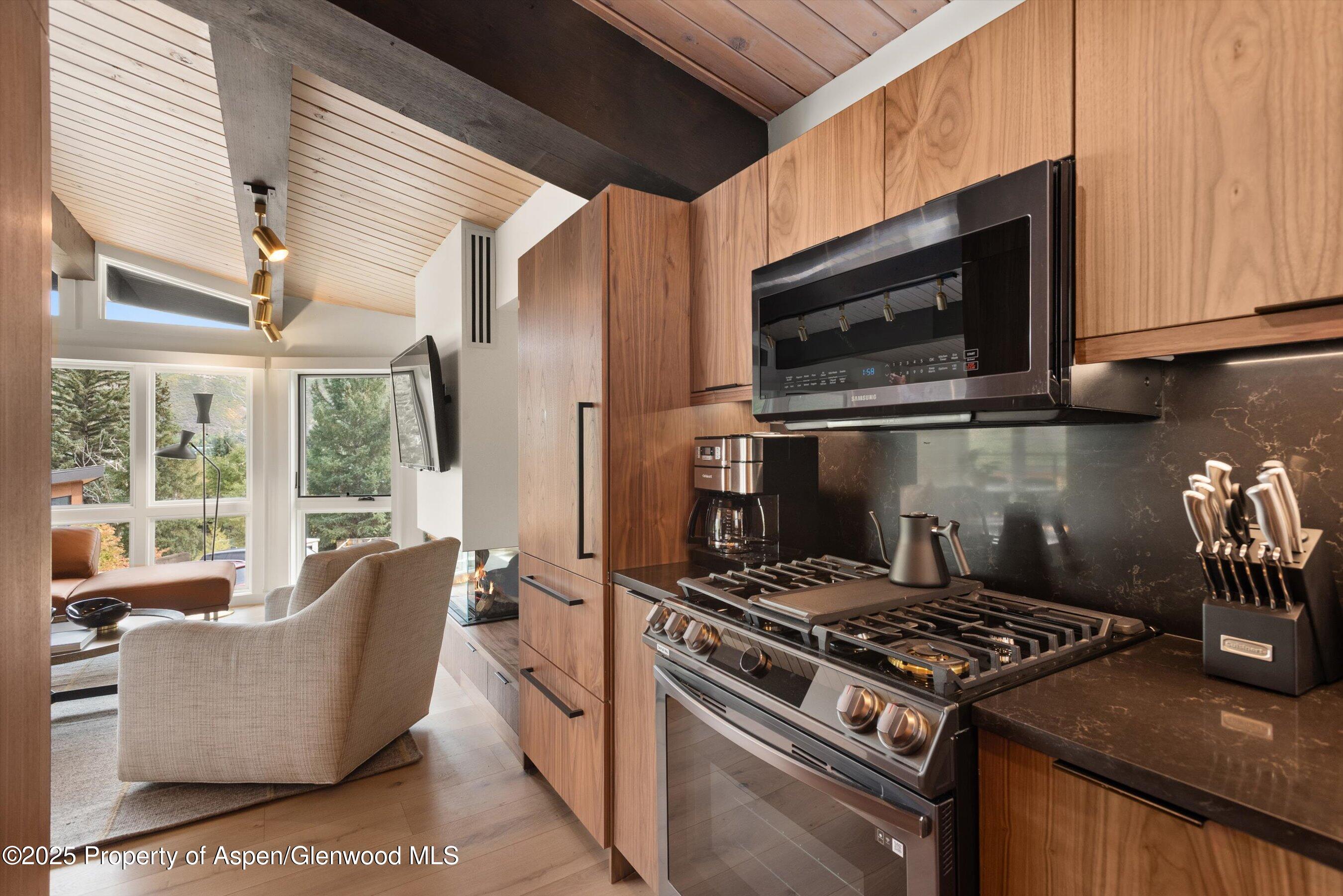 809 S Aspen Street Aspen CO 81611