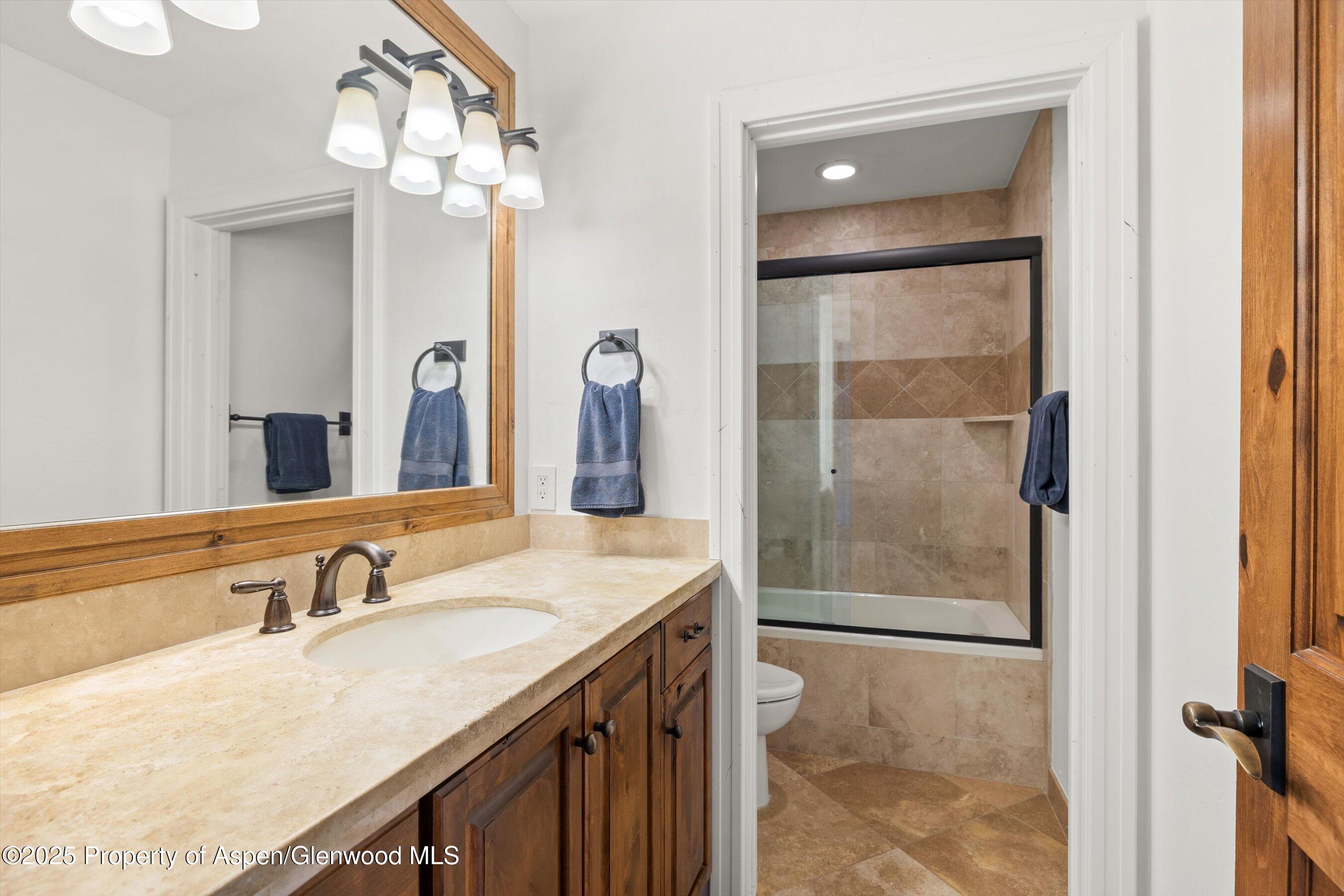 41 Choke Cherry Court Carbondale CO 81623