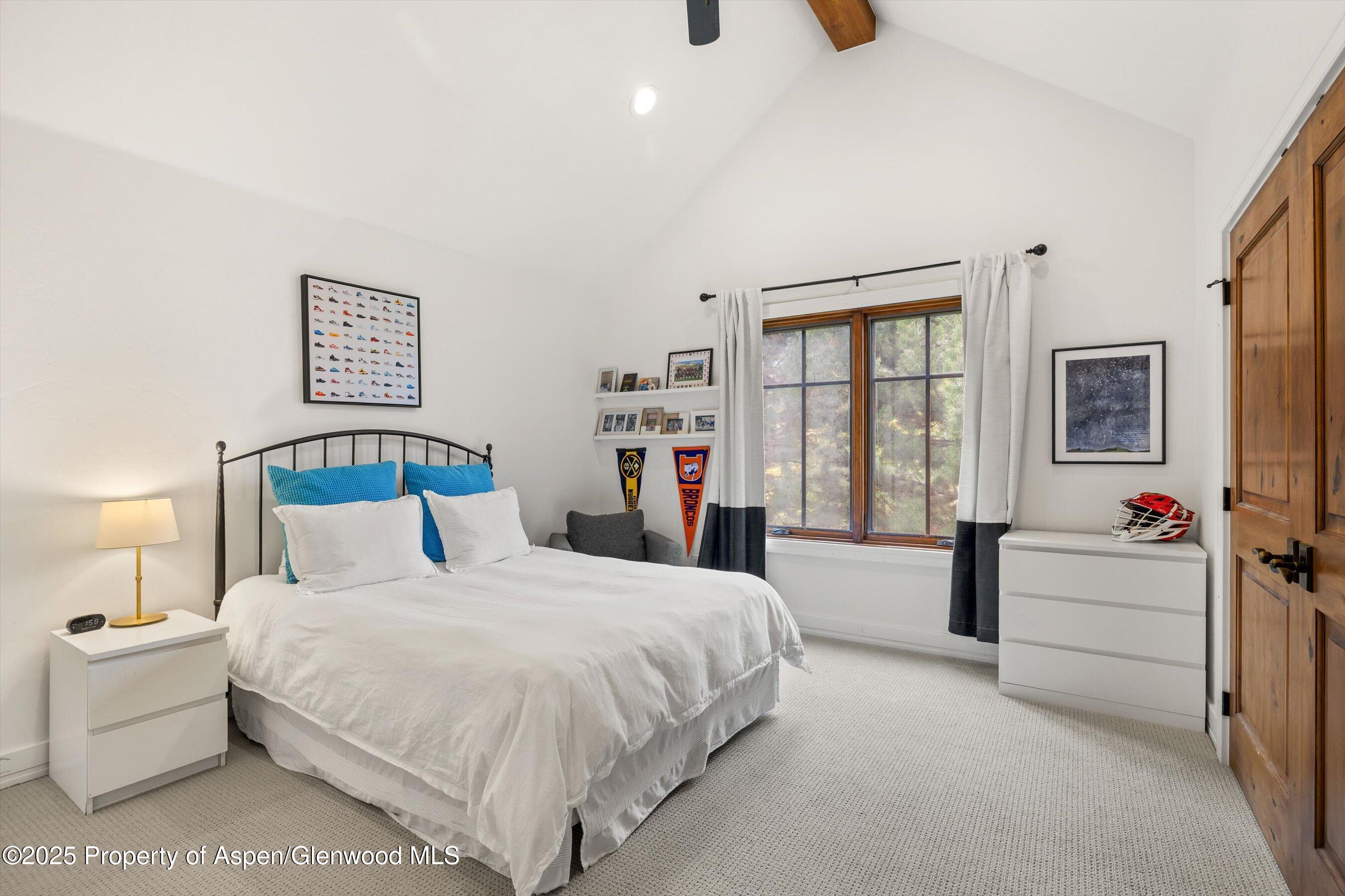 41 Choke Cherry Court Carbondale CO 81623