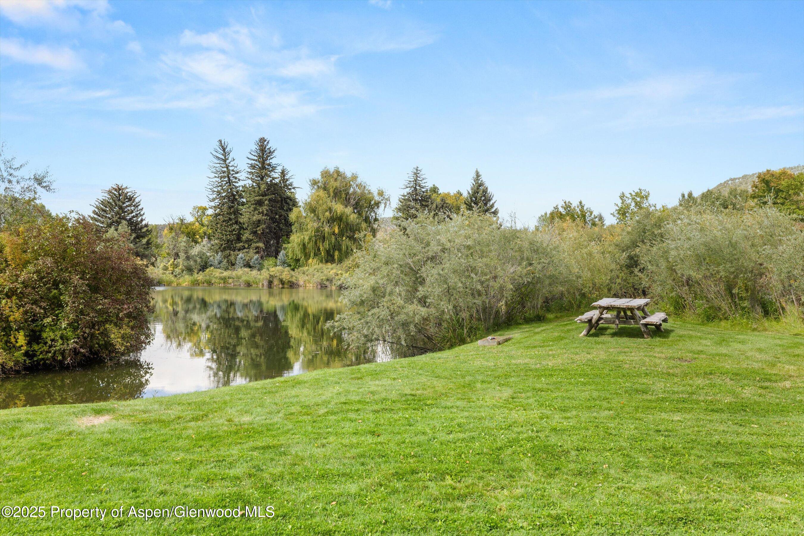 41 Choke Cherry Court Carbondale CO 81623