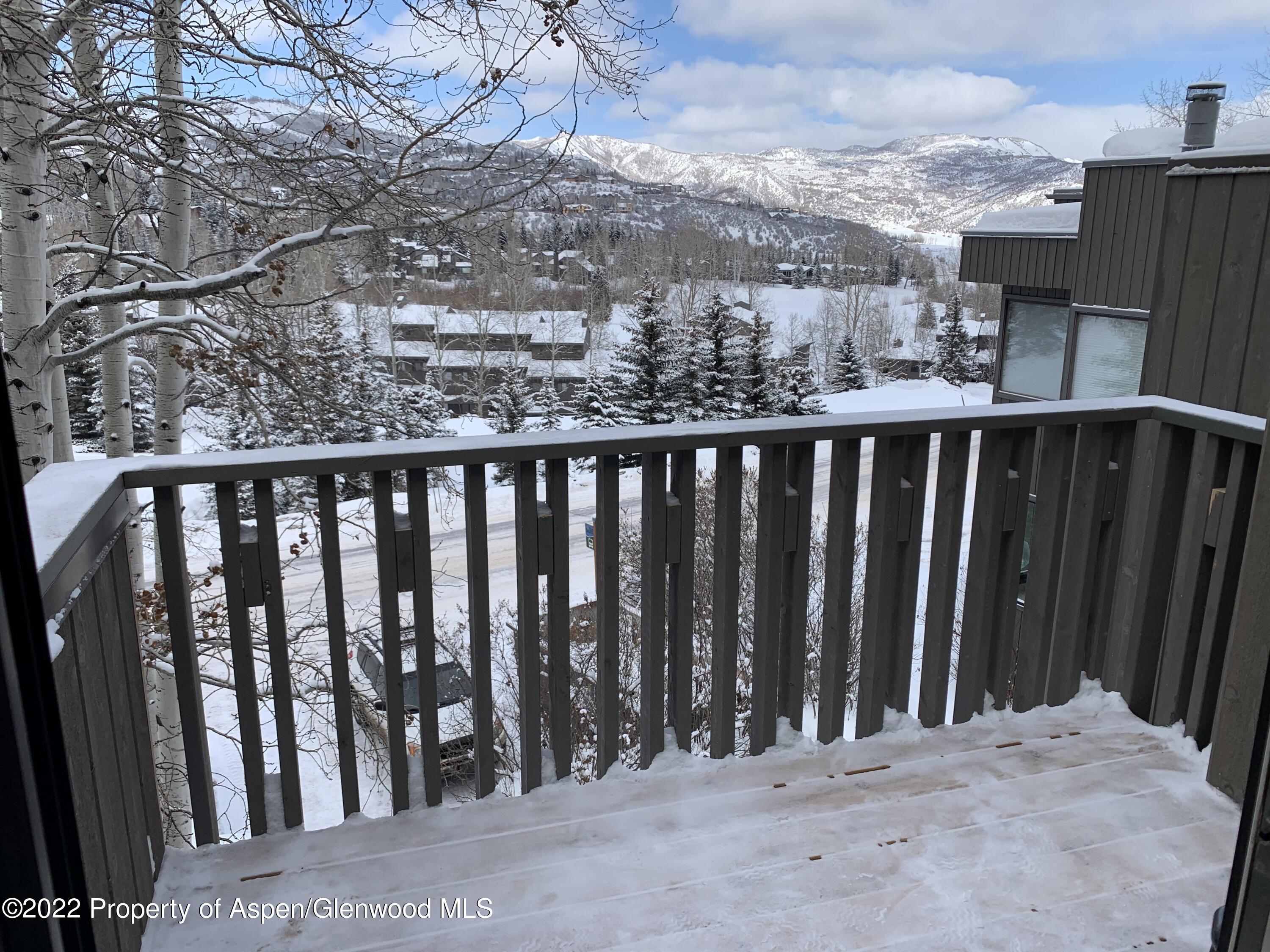 330 Meadow Ranch Road Snowmass Village CO 81615