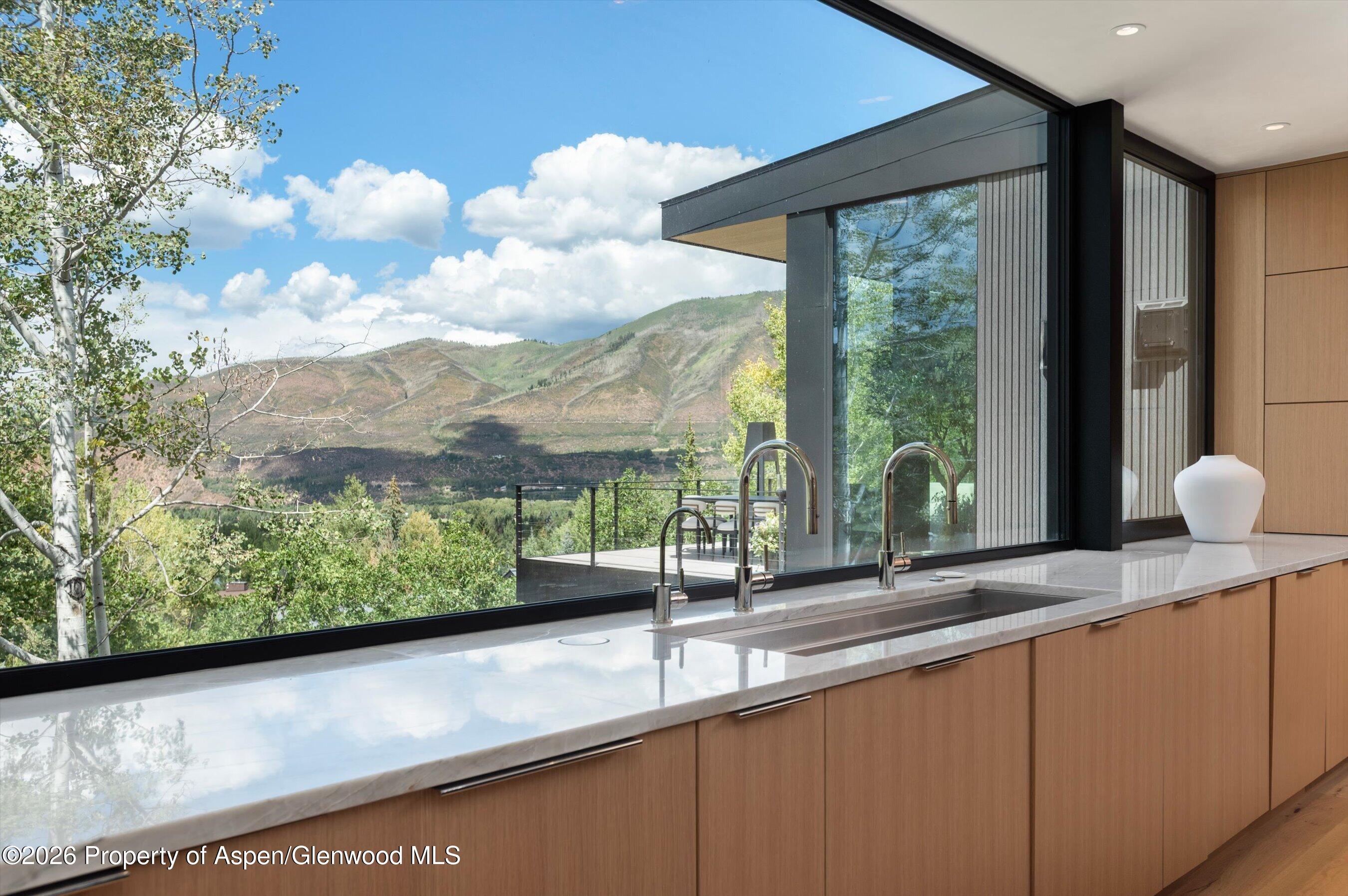 264 Larkspur Lane Aspen CO 81611