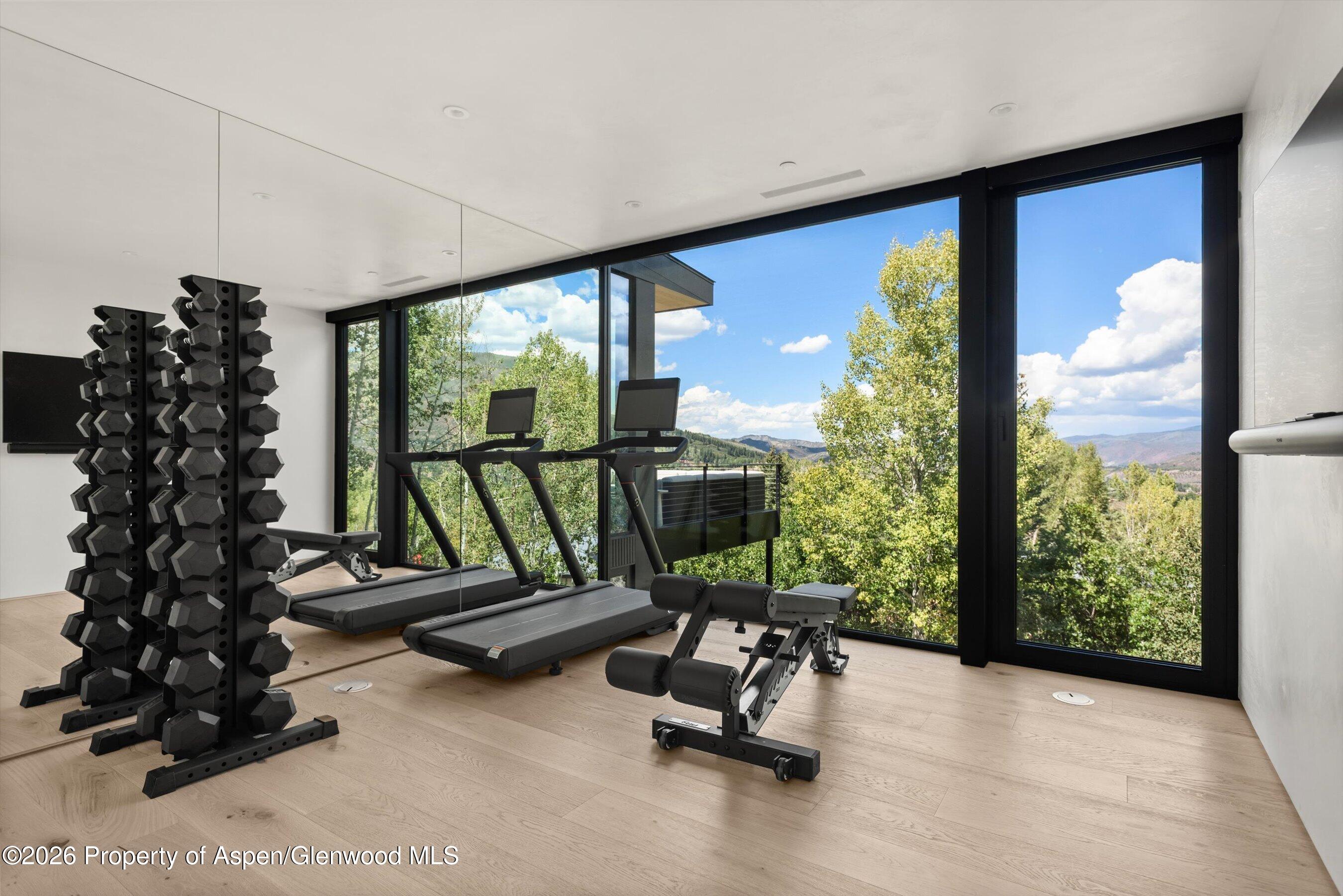 264 Larkspur Lane Aspen CO 81611