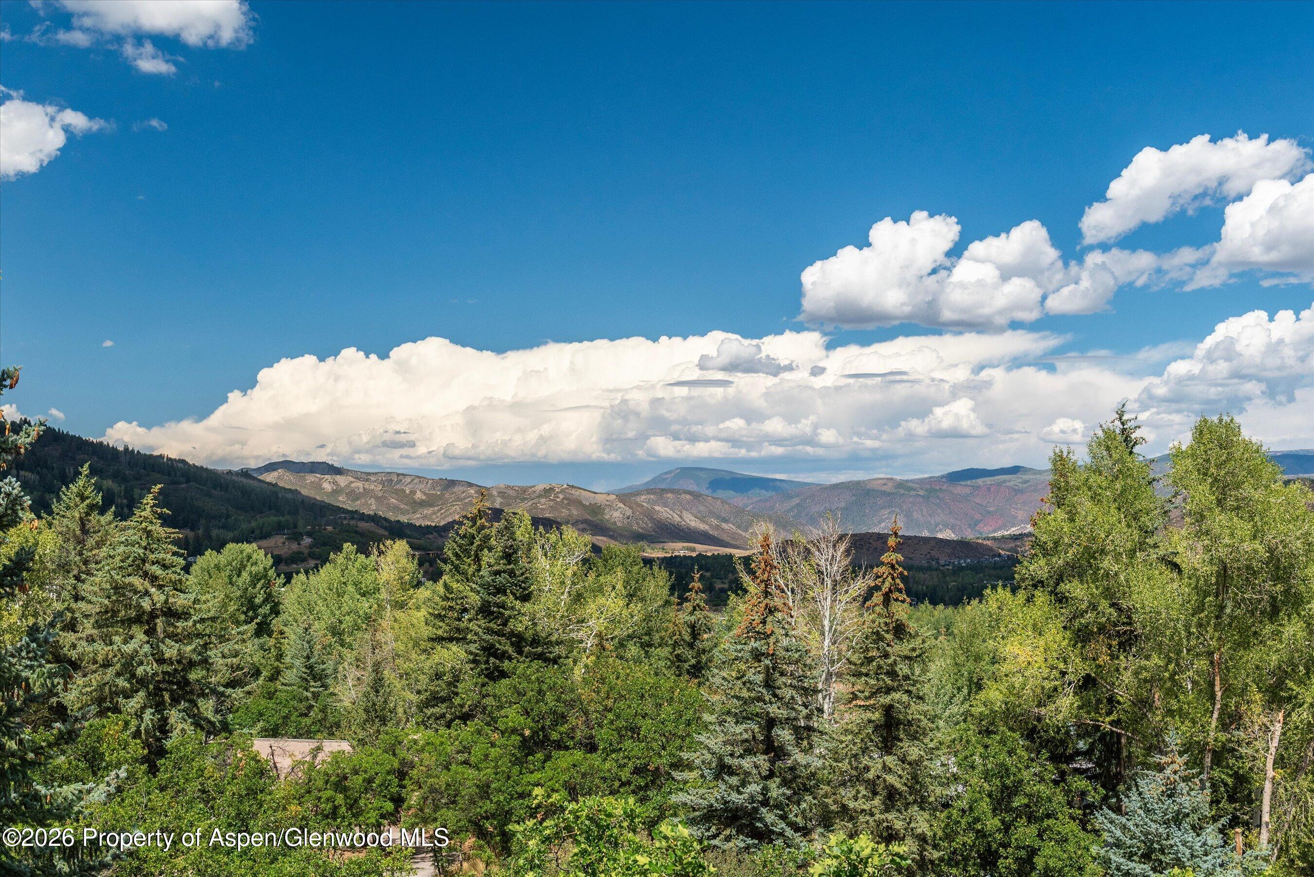 264 Larkspur Lane Aspen CO 81611