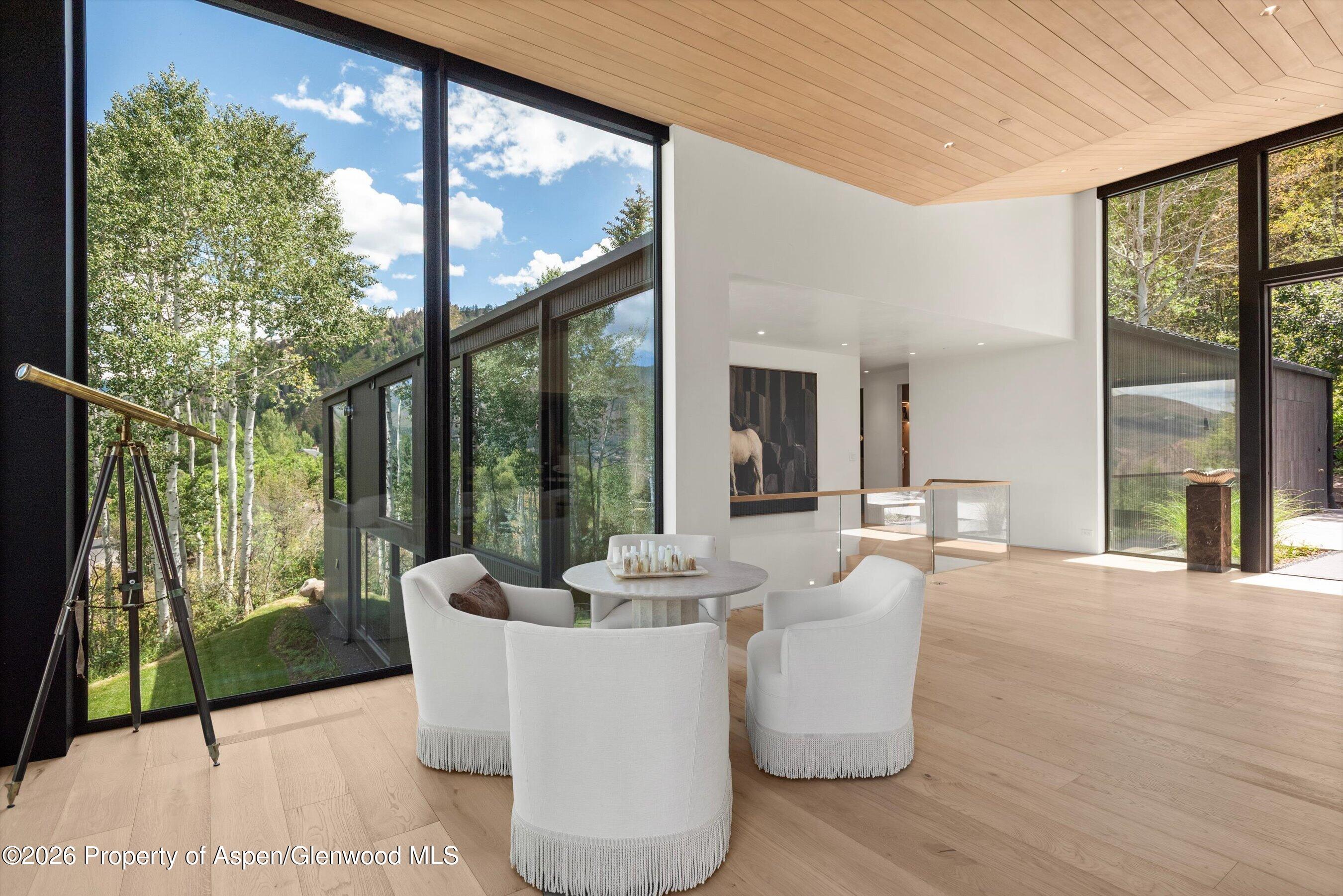 264 Larkspur Lane Aspen CO 81611