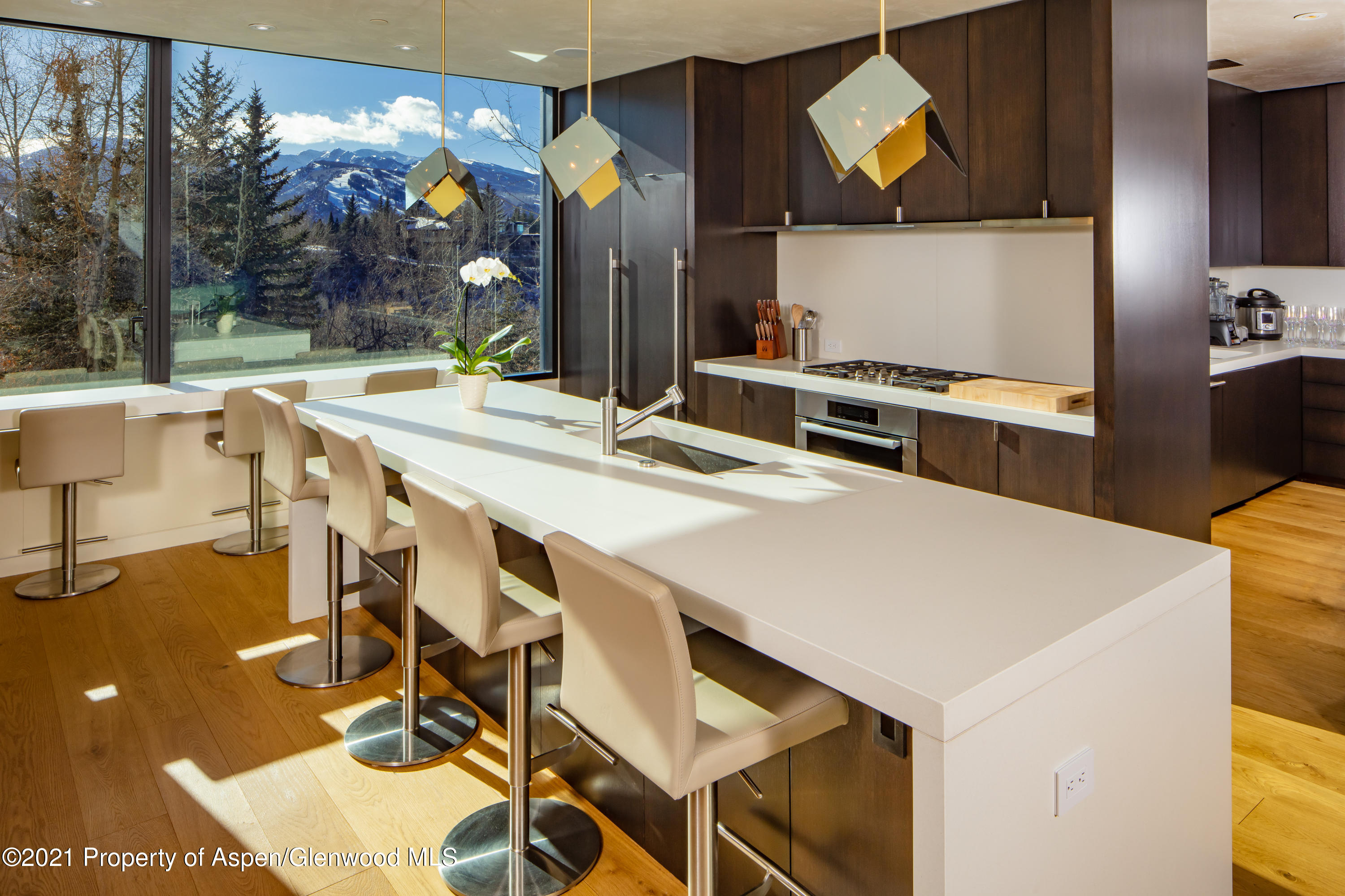 979 Red Mountain Road Aspen CO 81611