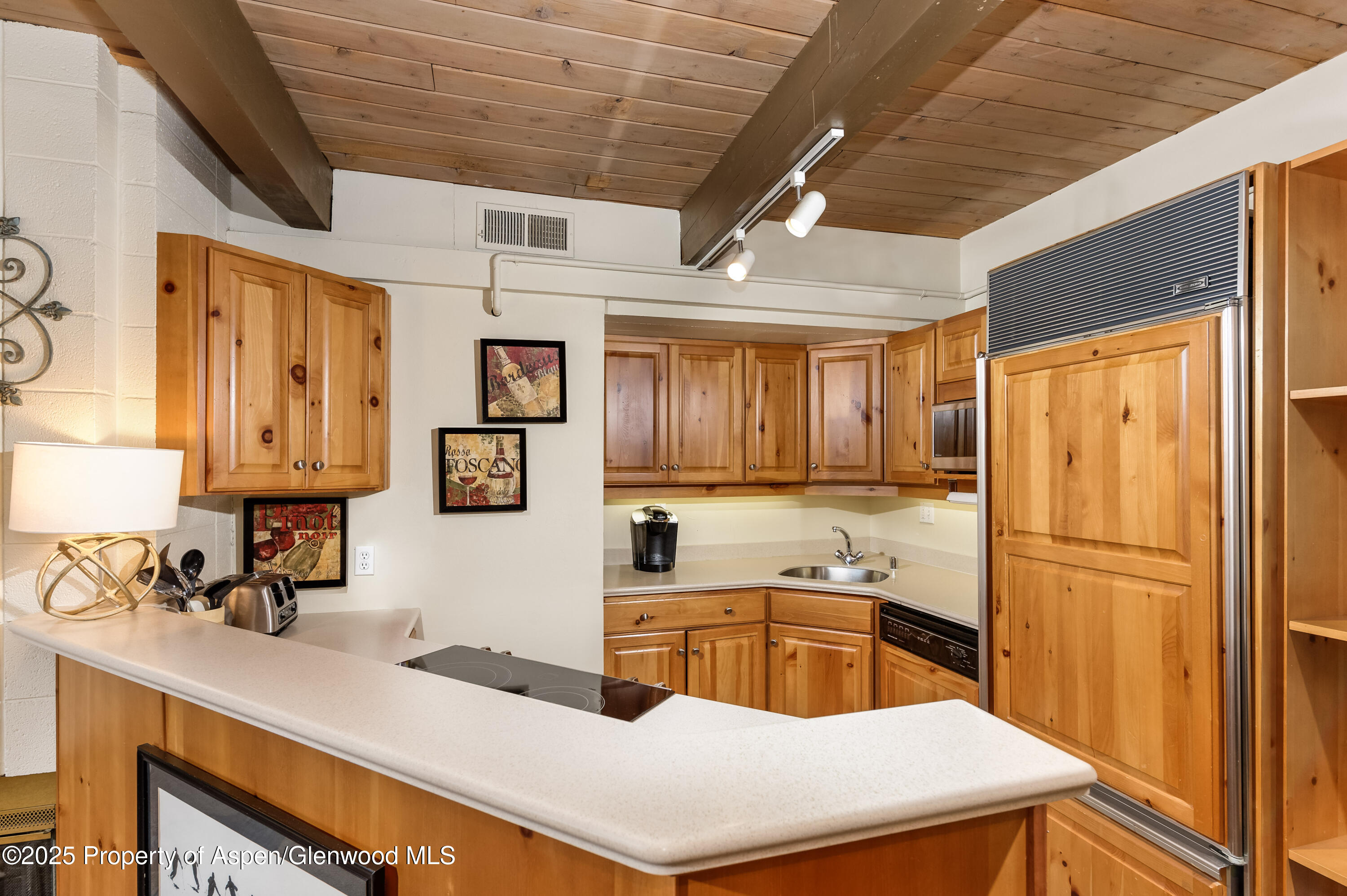 600 Carriage Way Snowmass Village CO 81615