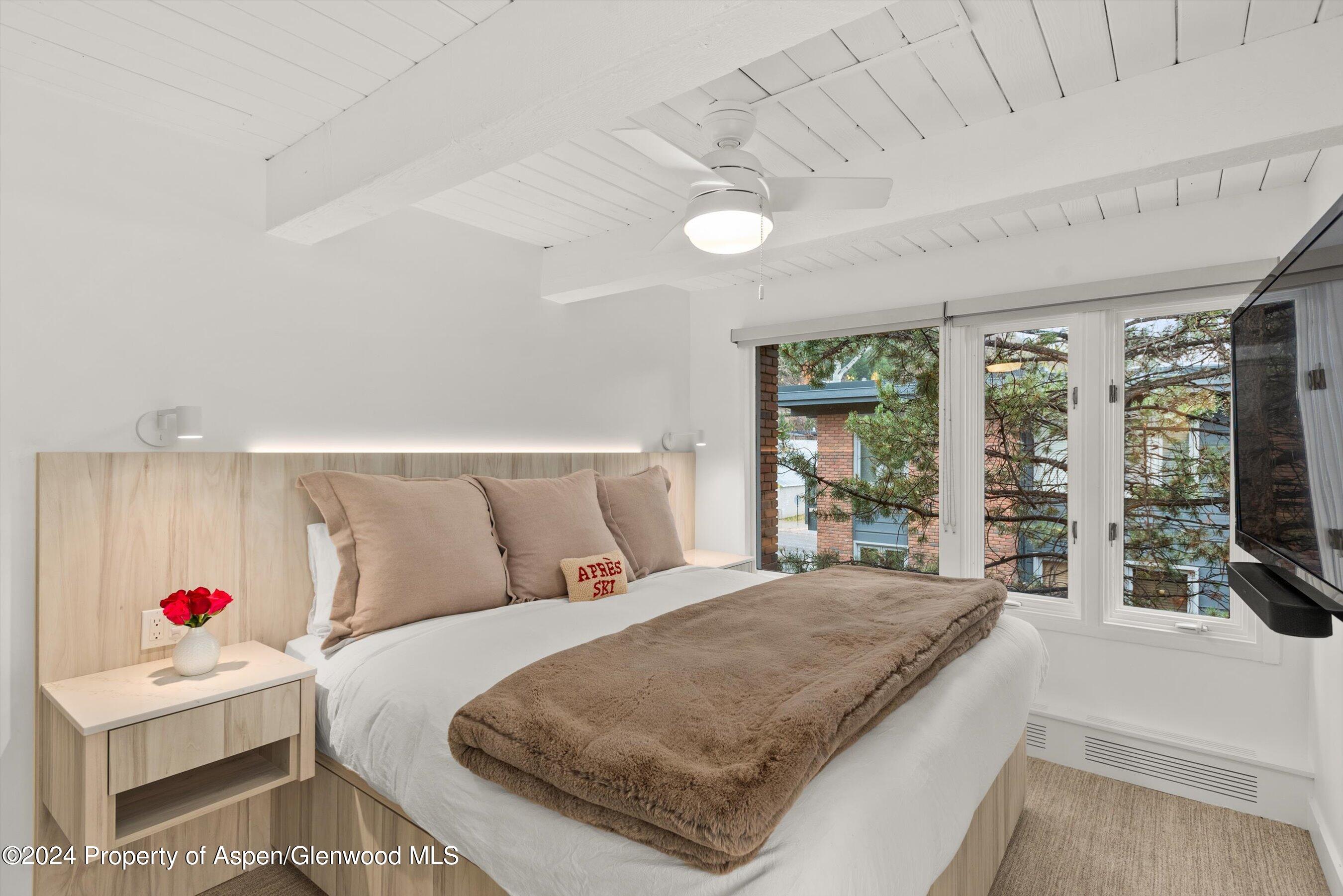 124 W Hyman Avenue Aspen CO 81611