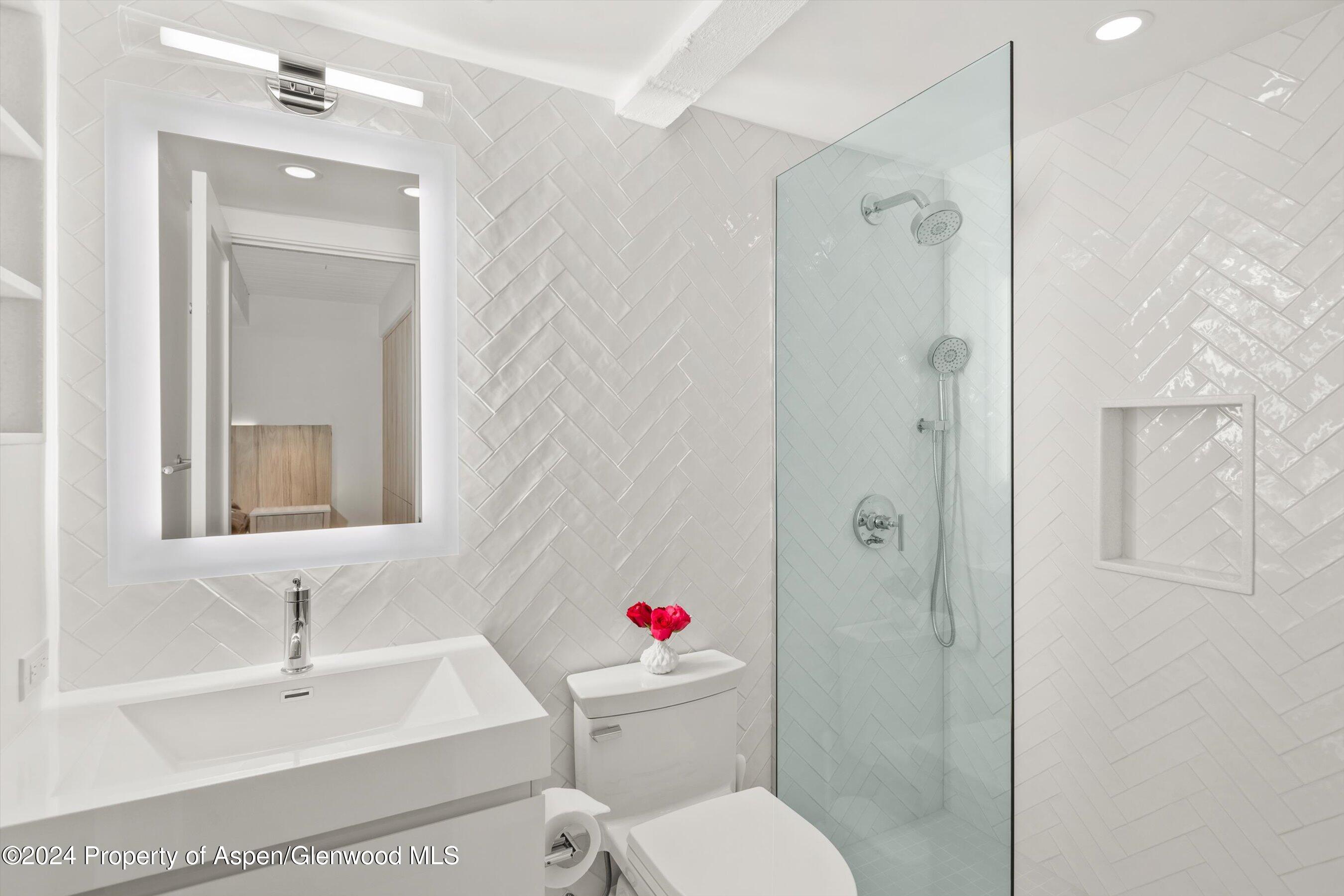 124 W Hyman Avenue Aspen CO 81611