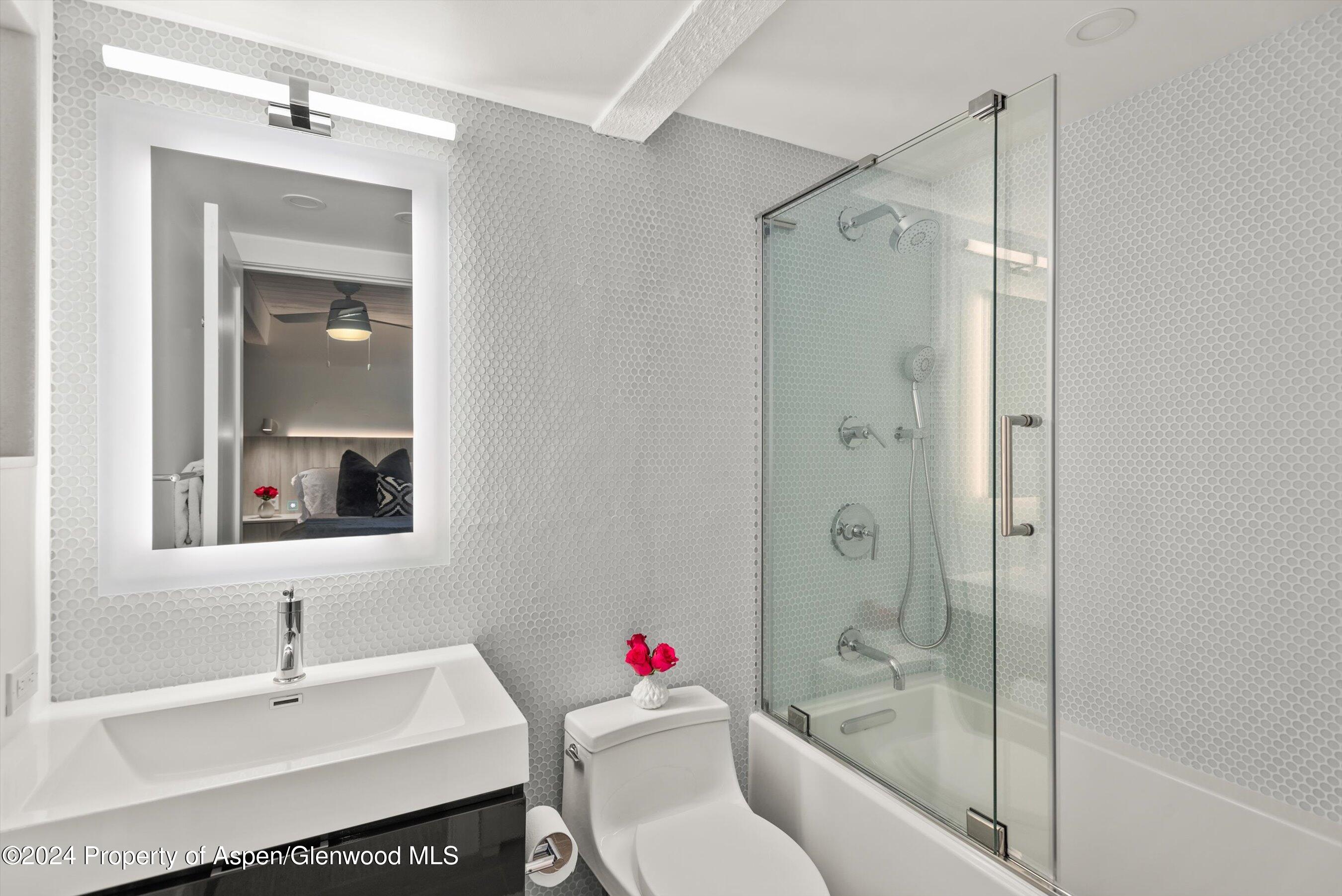 124 W Hyman Avenue Aspen CO 81611