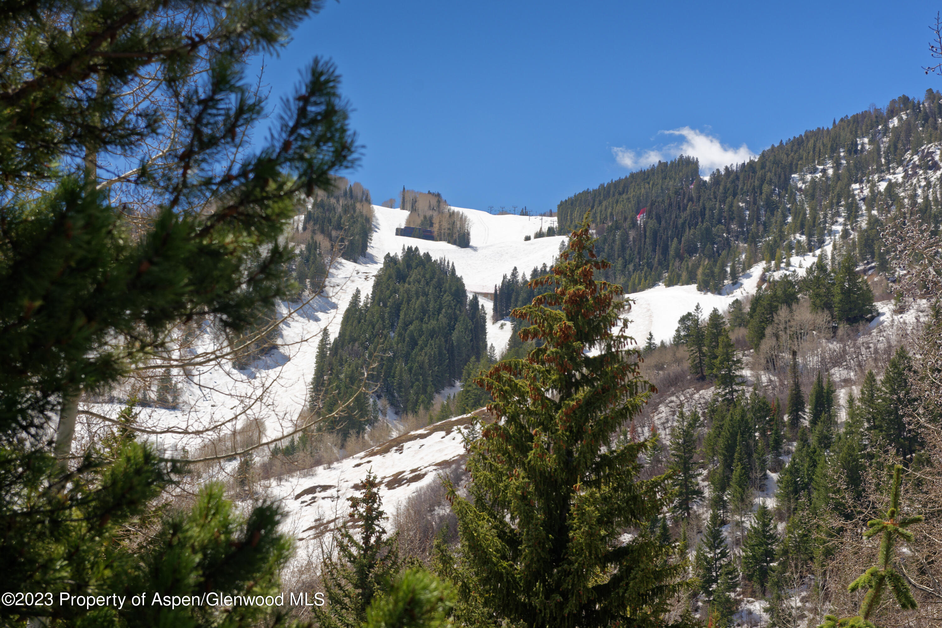 124 W Hyman Avenue Aspen CO 81611