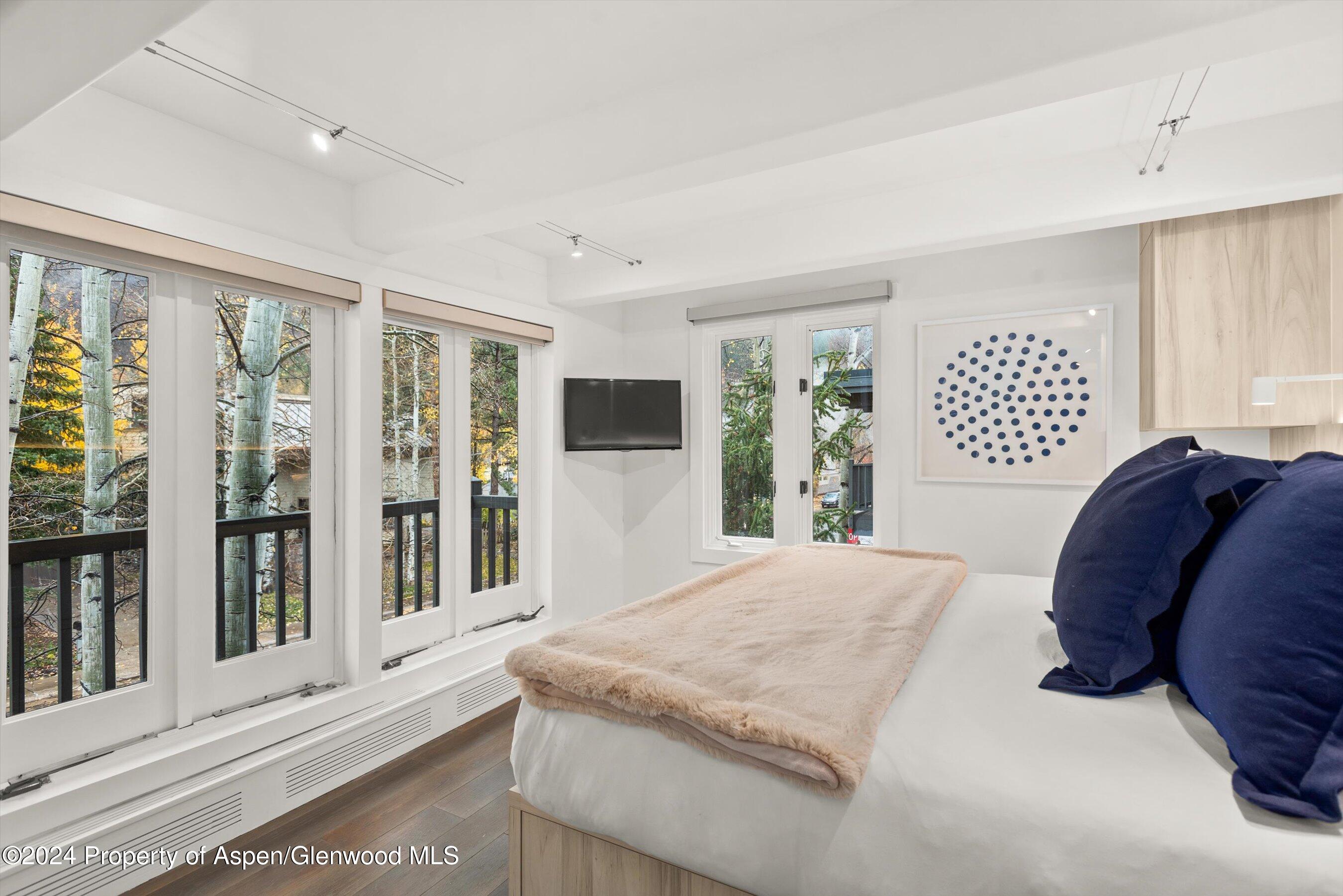 124 W Hyman Avenue Aspen CO 81611