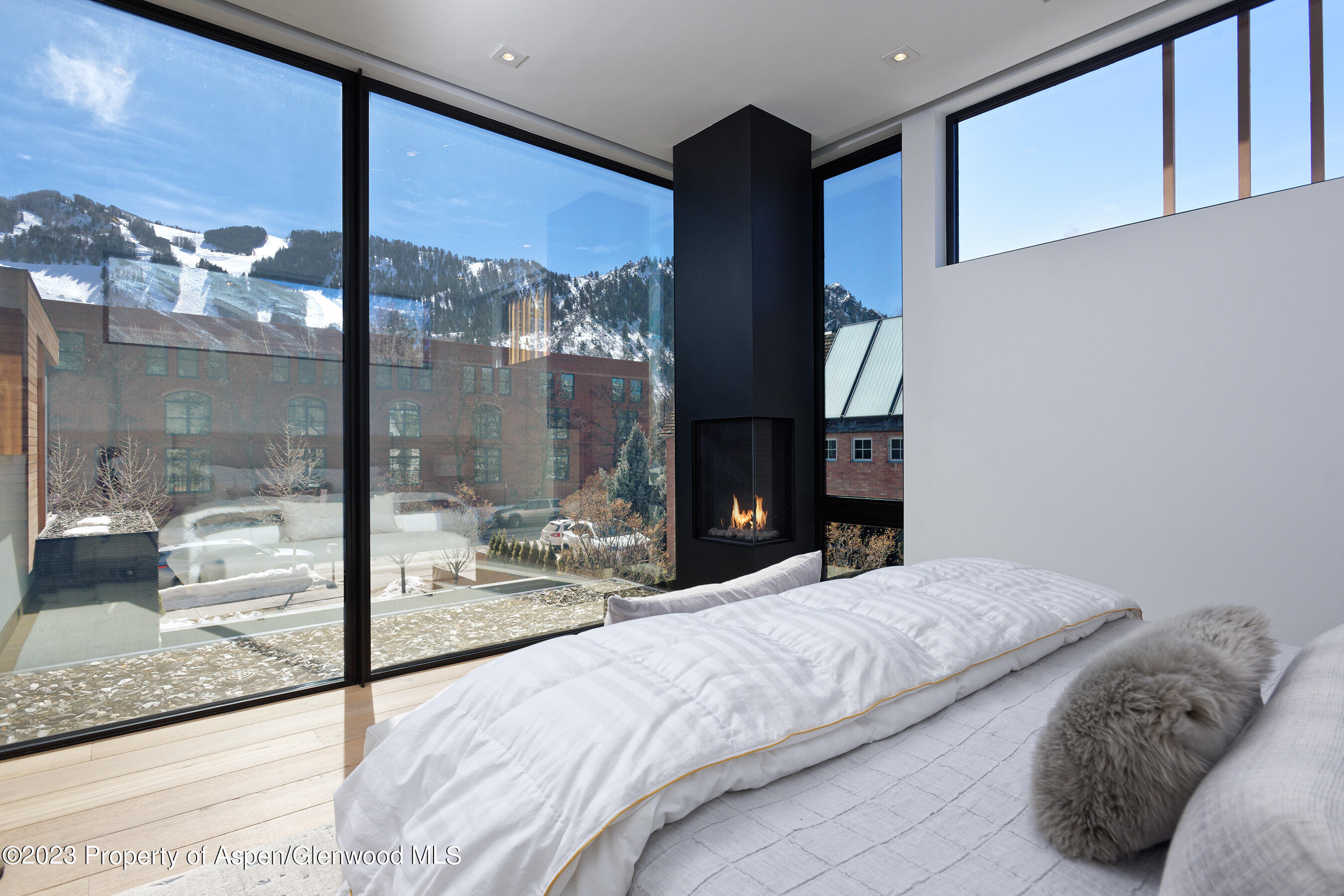 322-324 E Bleeker Street Aspen CO 81611