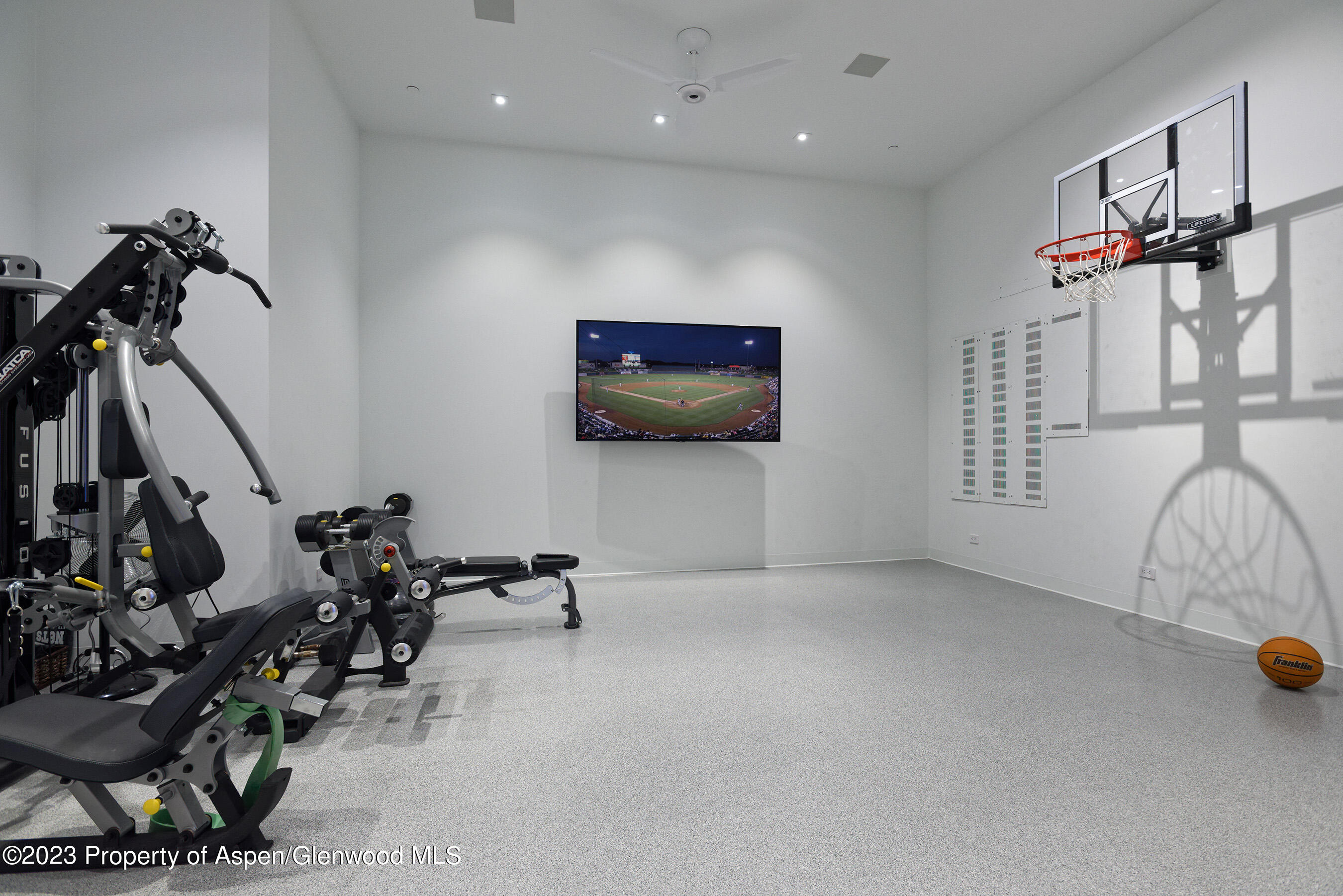 322-324 E Bleeker Street Aspen CO 81611