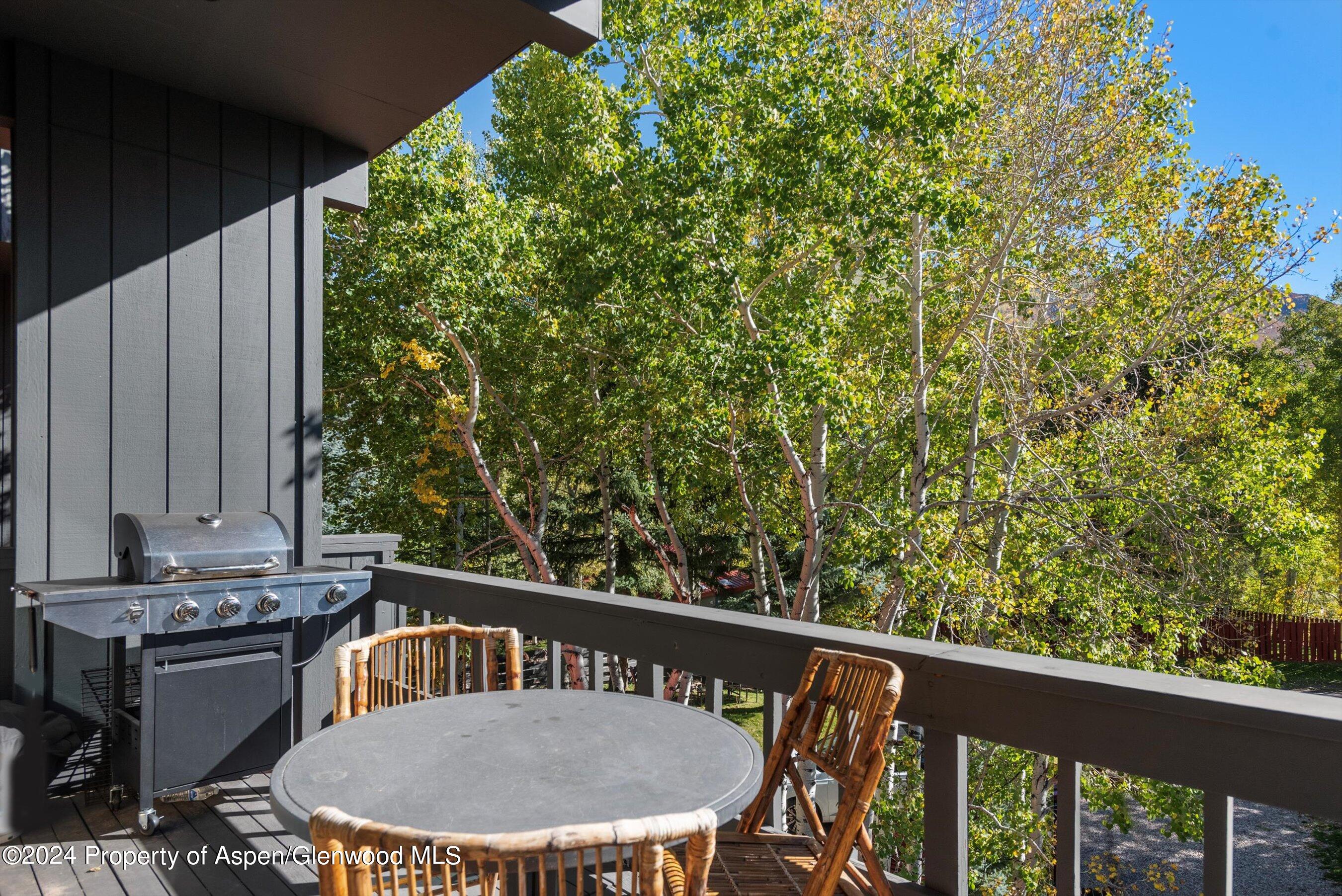 1085 Cemetery Lane Aspen CO 81611