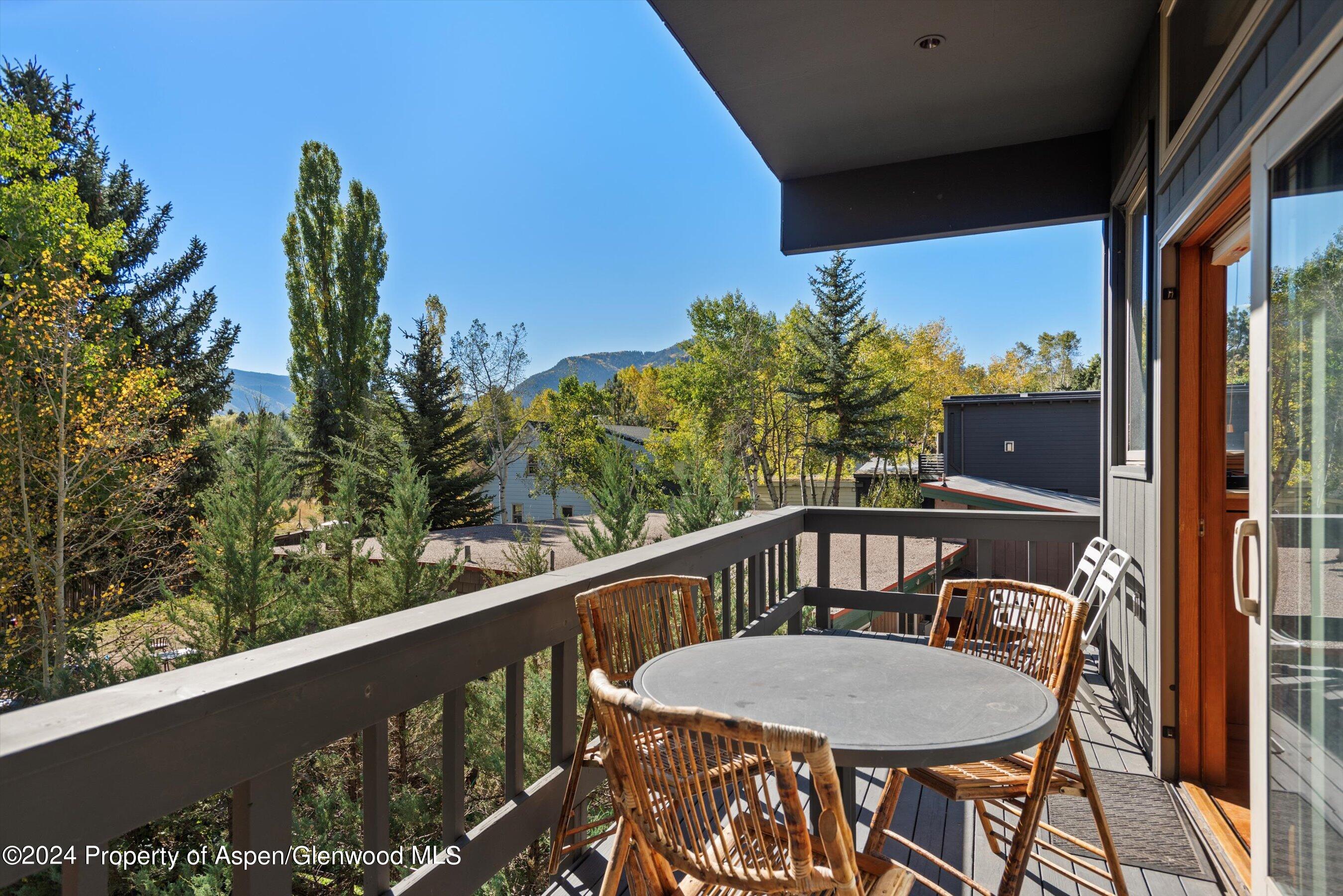 1085 Cemetery Lane Aspen CO 81611