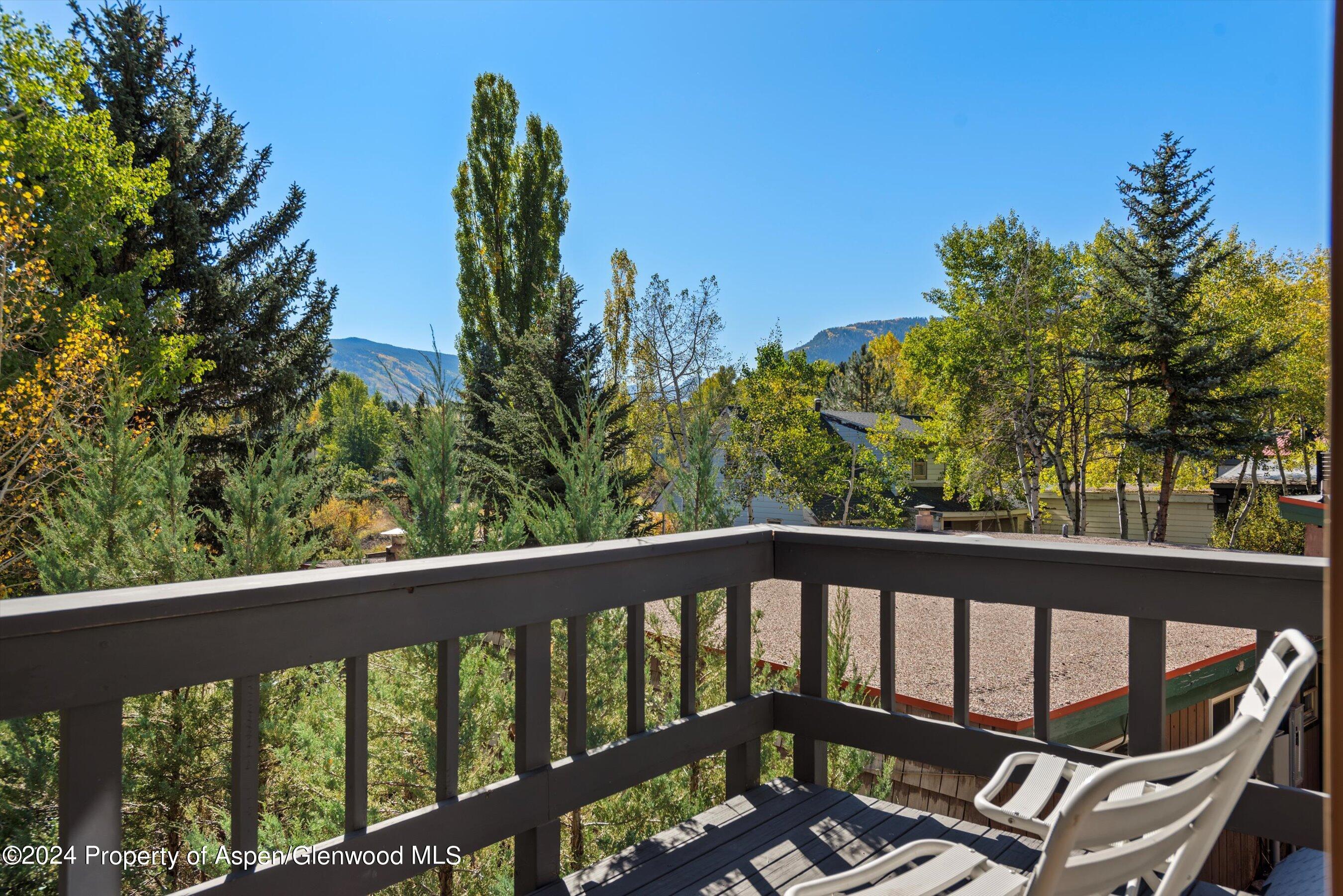 1085 Cemetery Lane Aspen CO 81611