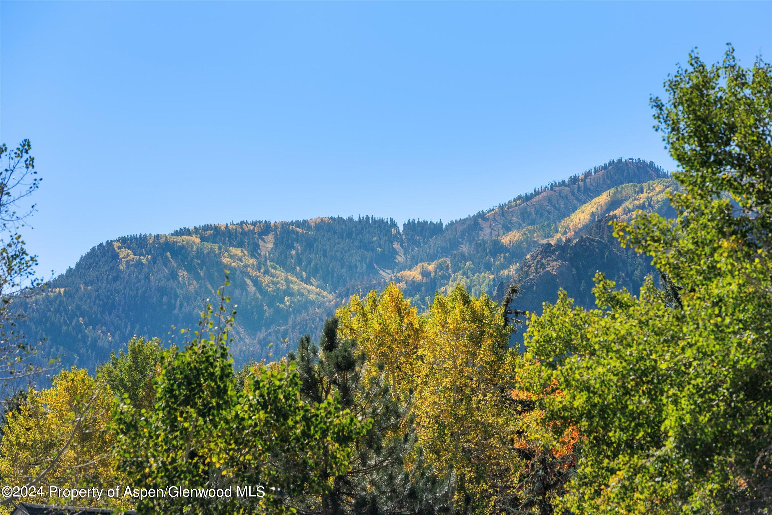 1085 Cemetery Lane Aspen CO 81611