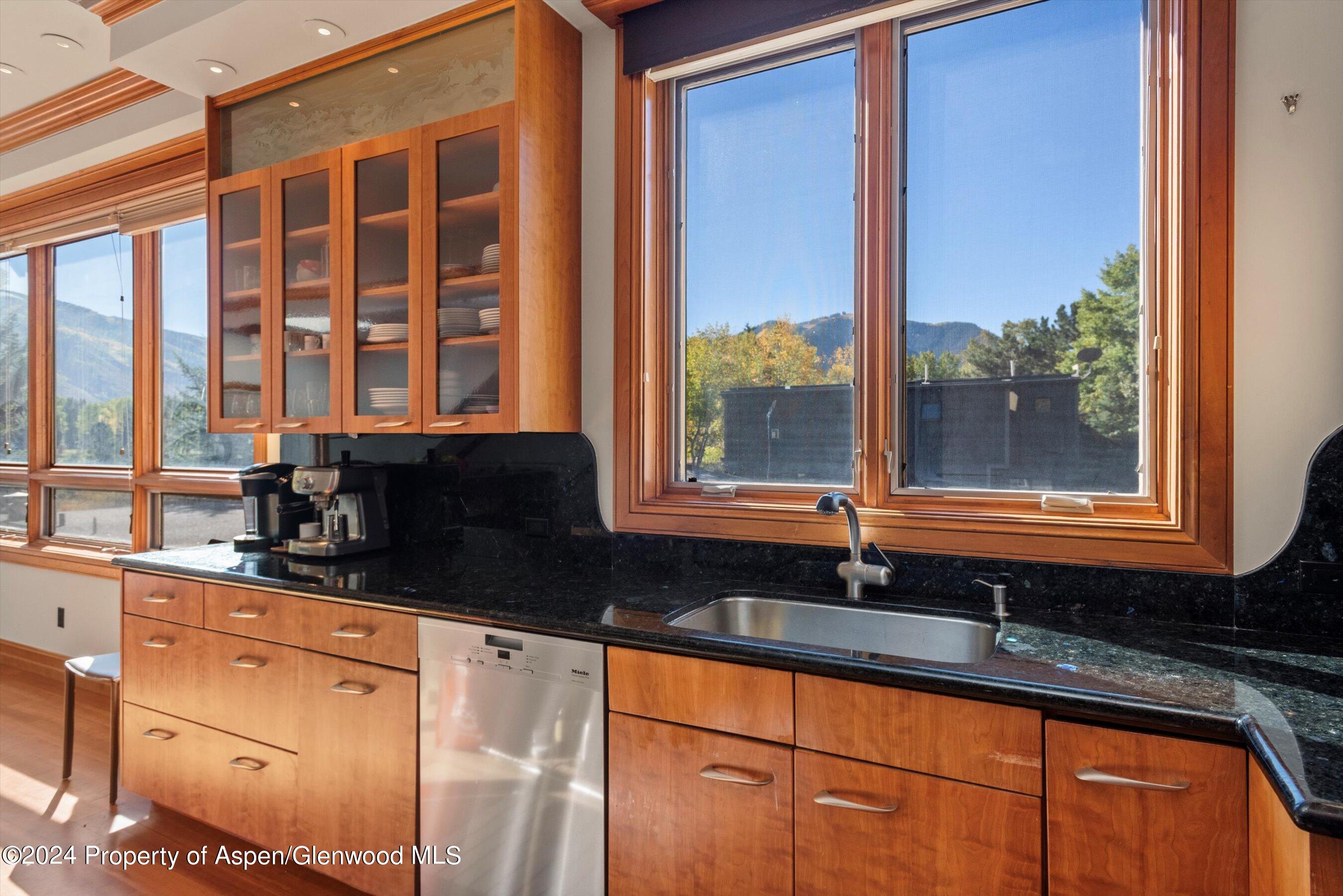 1085 Cemetery Lane Aspen CO 81611