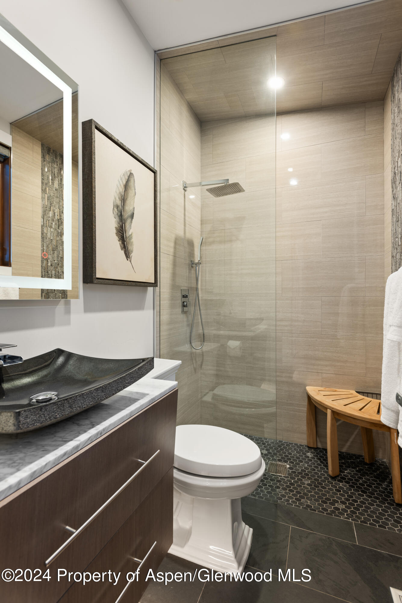 365 Terrace Drive Snowmass Village CO 81615